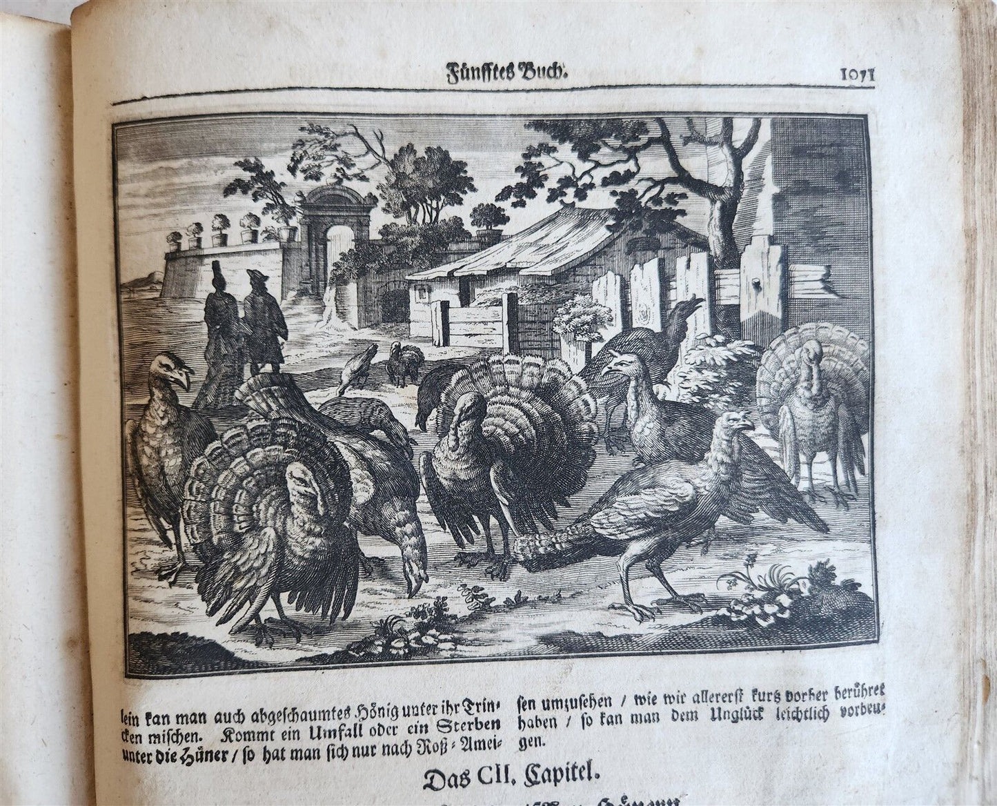 1702 Oeconomus prudens ILLUSTRATED 2 FOLIO VOLUMES antique in GERMAN