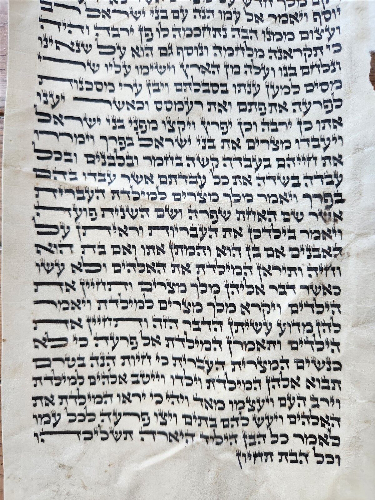 TORAH SCROLL FRAGMENT MANUSCRIPT on VELLUM antique GENESIS 50:24