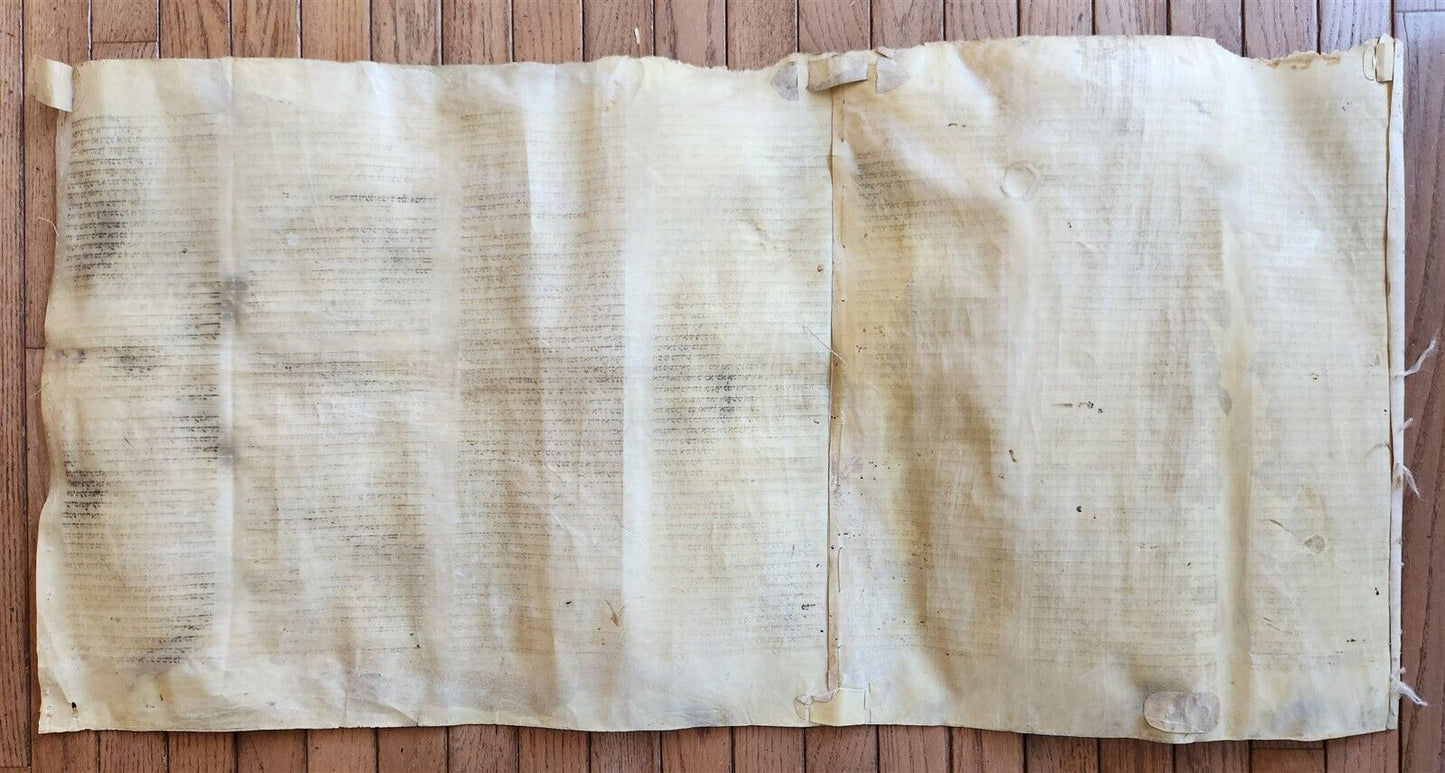 TORAH SCROLL FRAGMENT MANUSCRIPT on VELLUM antique BIBLE BOOK OF NUMBERS 21x42"