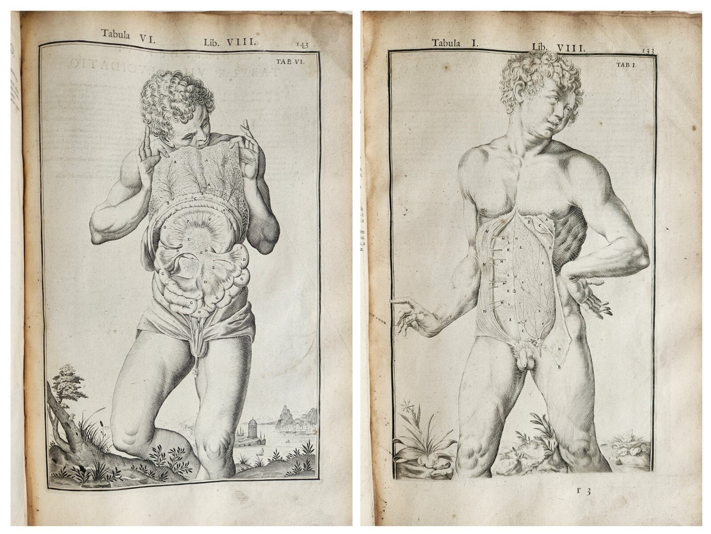 1645 ANATOMY TREATISE Adrian Spigelius 176 ENGRAVINGS ILLUSTRATED FOLIO antique