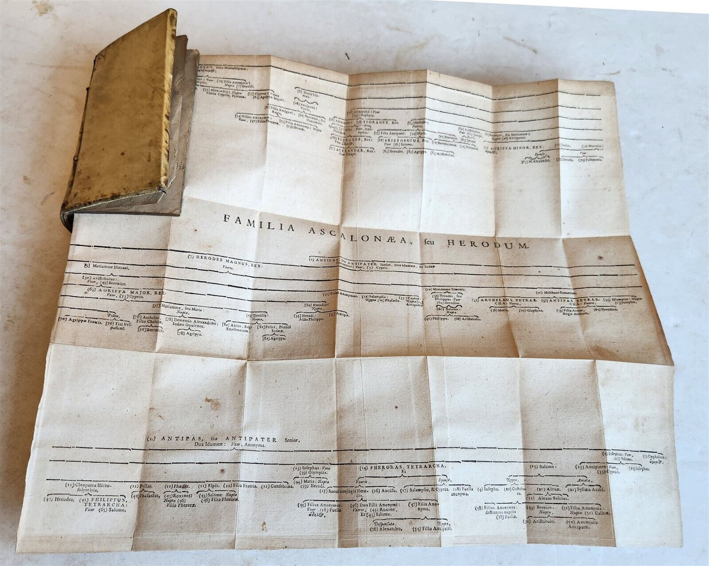 1660 HISTORY of LIFE & ACTIONS of HEROD THE GREAT ANTIQUE VELLUM by C. Noldius