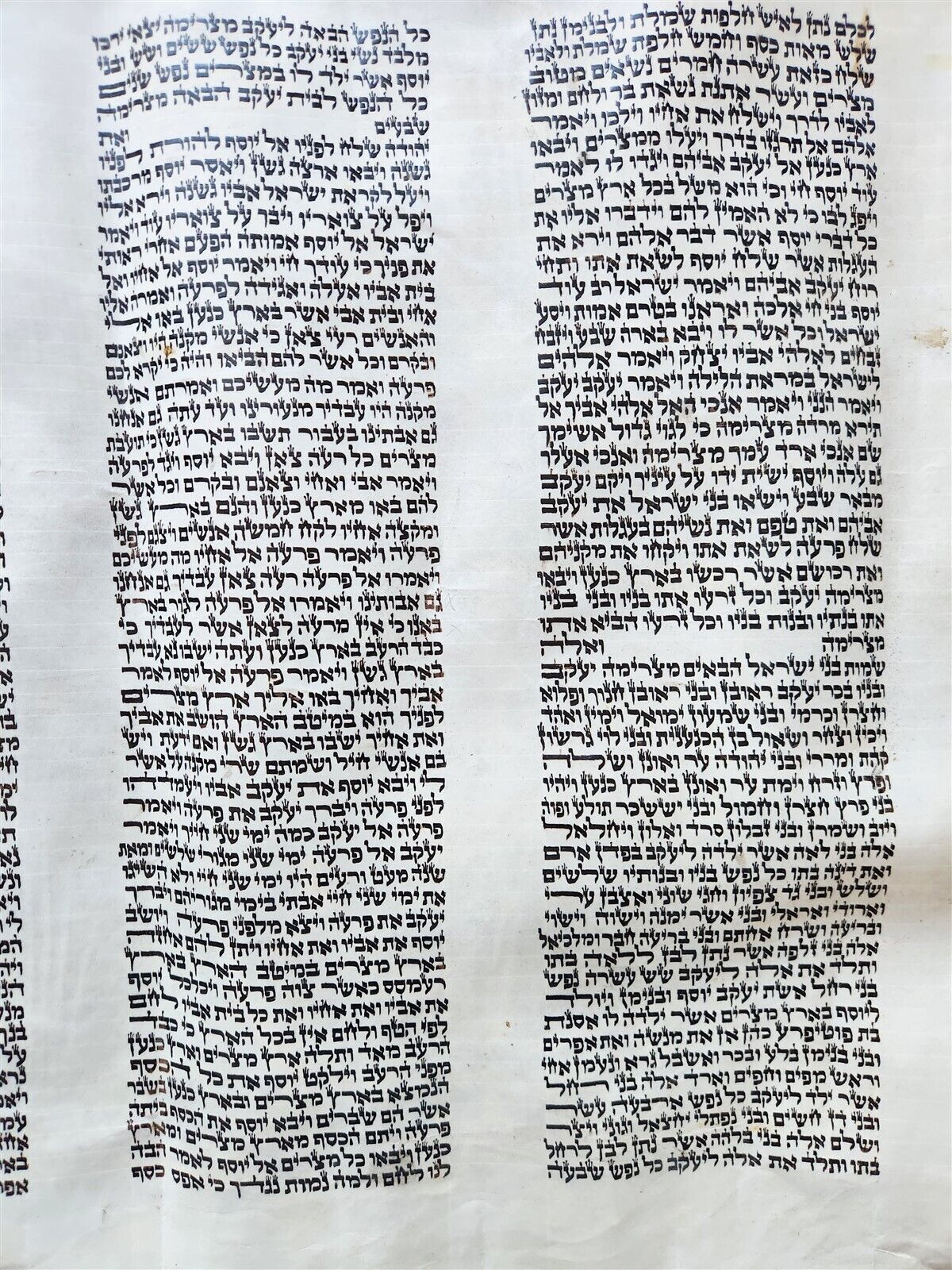TORAH SCROLL FRAGMENT MANUSCRIPT on VELLUM antique BIBLE GENESIS 44:30-48:5