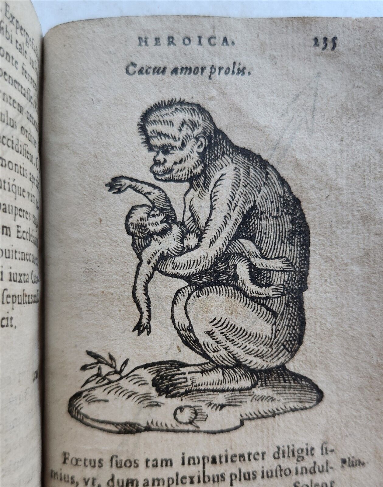 1596-1600 EMBLEMATA antique ILLUSTRATED w/ 270 WOODCUTS PLANTIN VELLUM BINDING