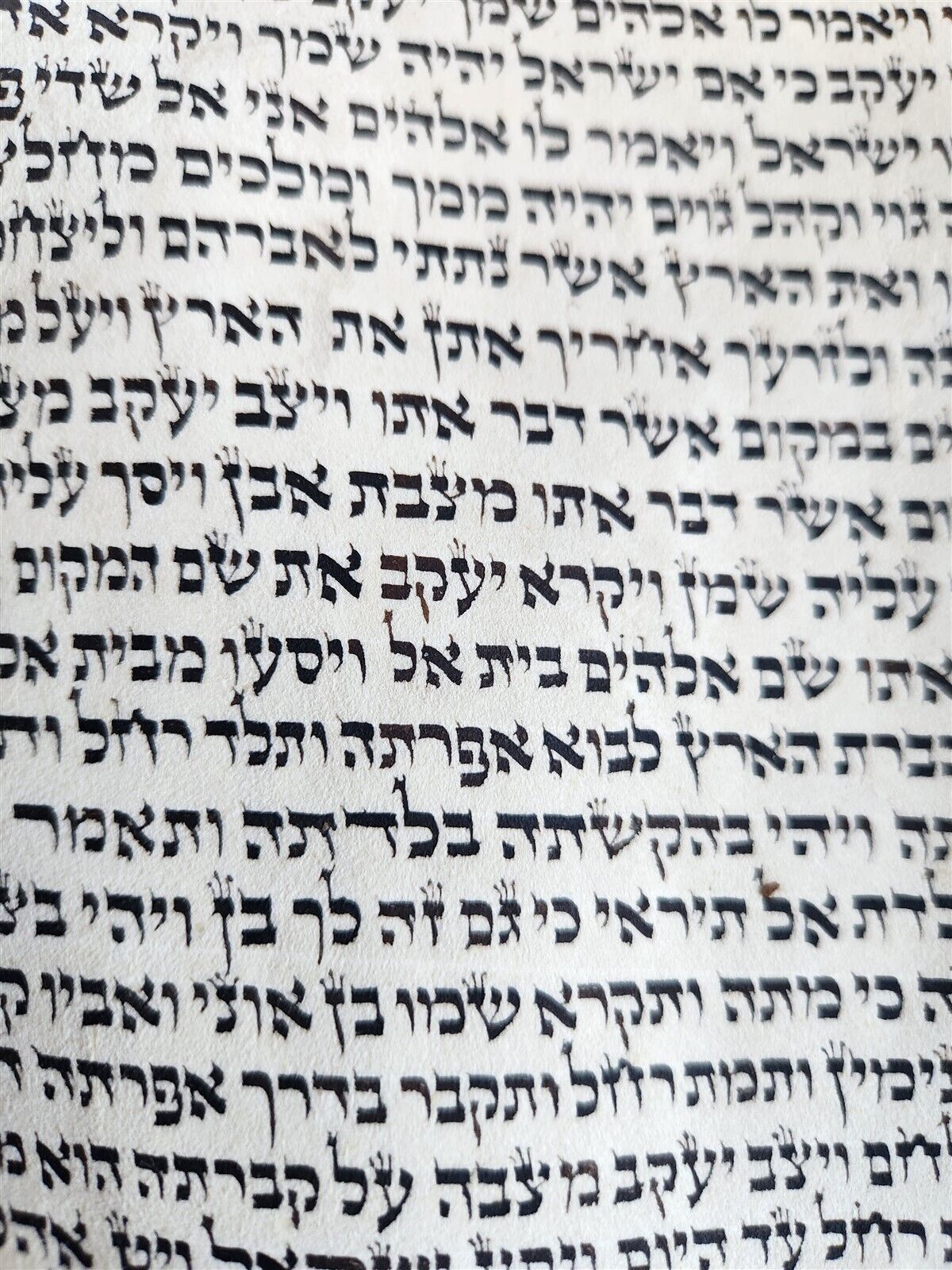 TORAH SCROLL large FRAGMENT MANUSCRIPT VELLUM antique BIBLE GENESIS 32:3-47:18