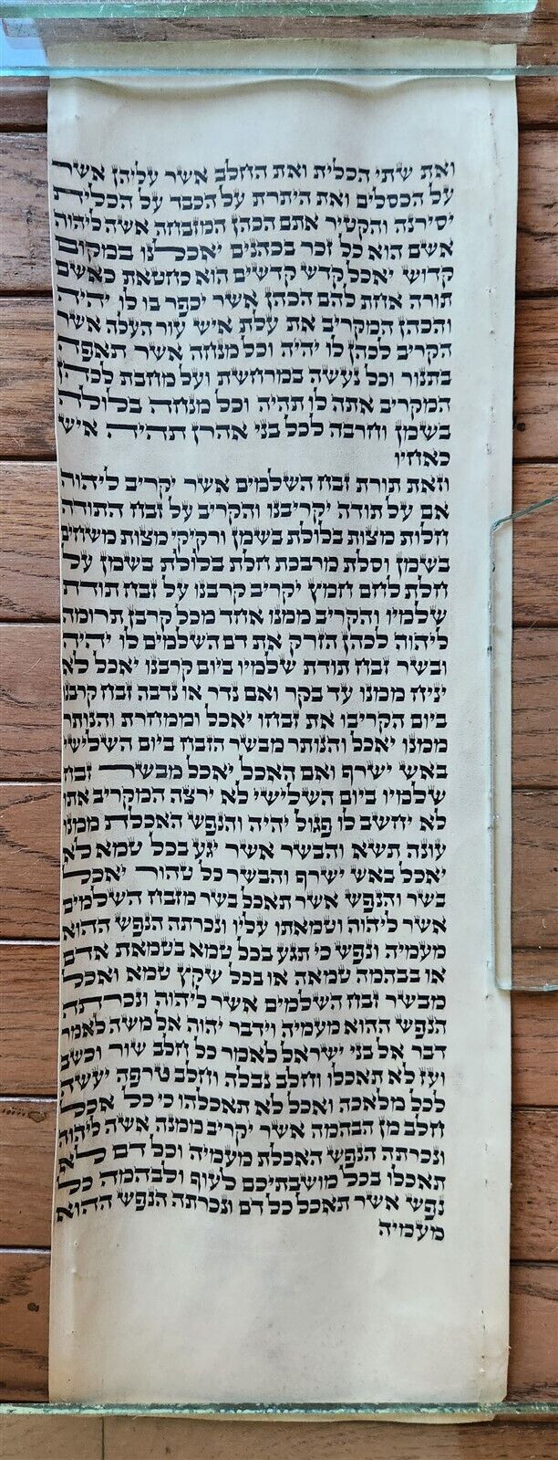 TORAH SCROLL FRAGMENT MANUSCRIPT on VELLUM antique BIBLE LEVITICUS 7:4-7:27