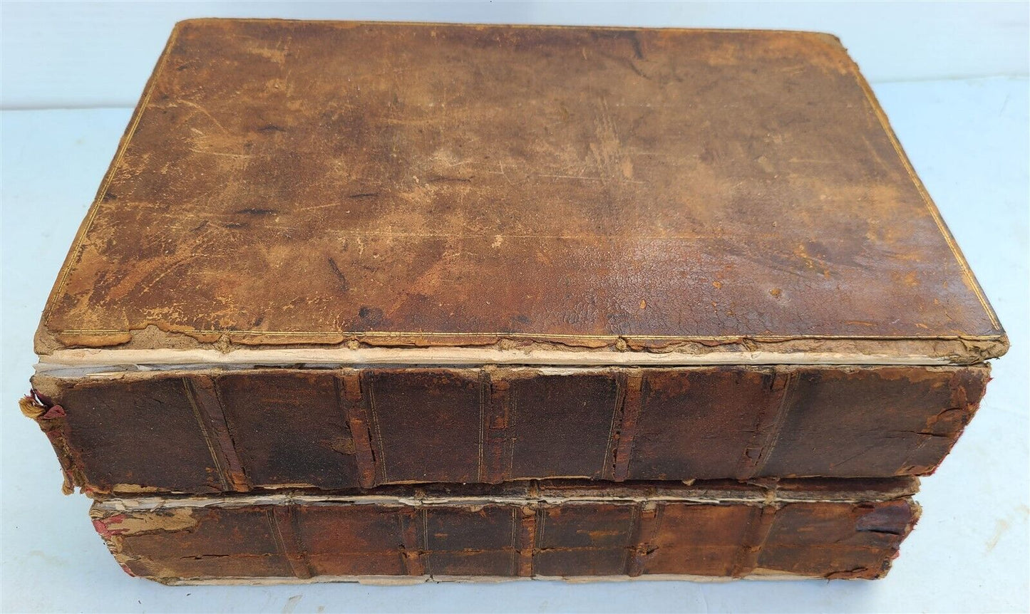1619 ARISTOTLE OPERA OMNIA 2 MASSIVE FOLIOS antique GREEK & LATIN