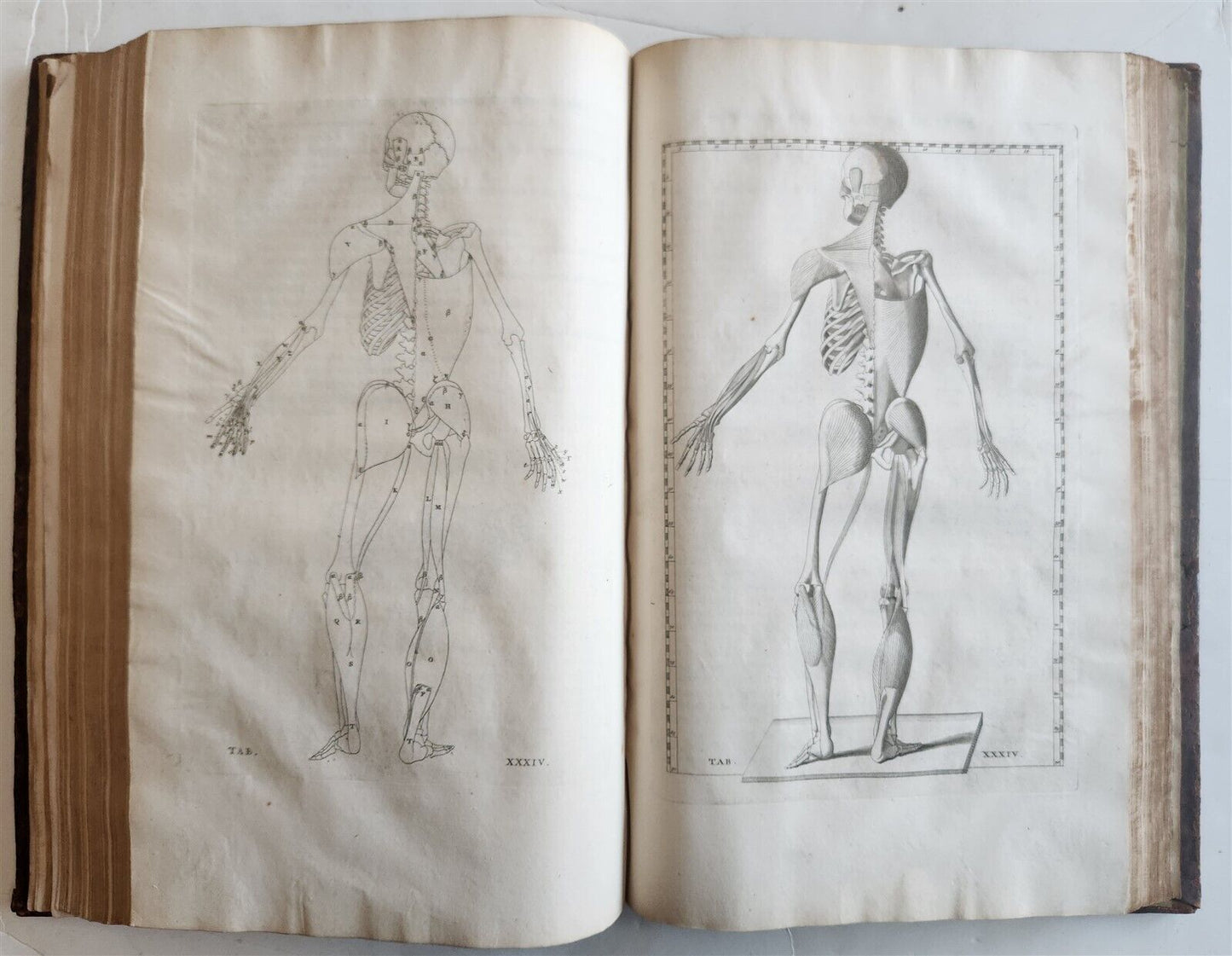1744 ILLUSTRATED ANATOMY antique FOLIO Explicatio tabularum anatomicarum ALBINUS