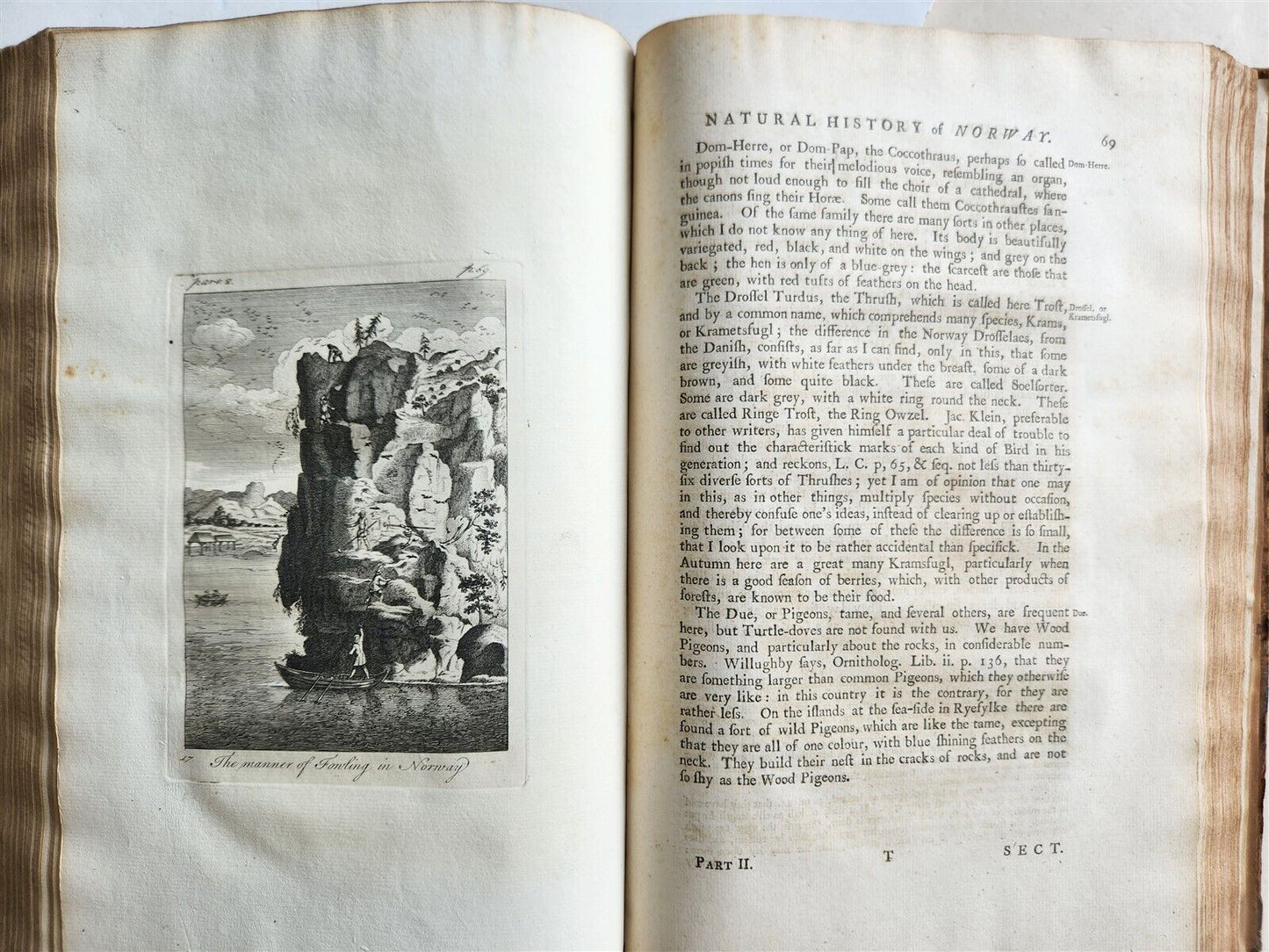 1755 NATURAL HISTORY of NORWAY ILLUSTRATED Pontoppidan antique FOLIO in ENGLISH