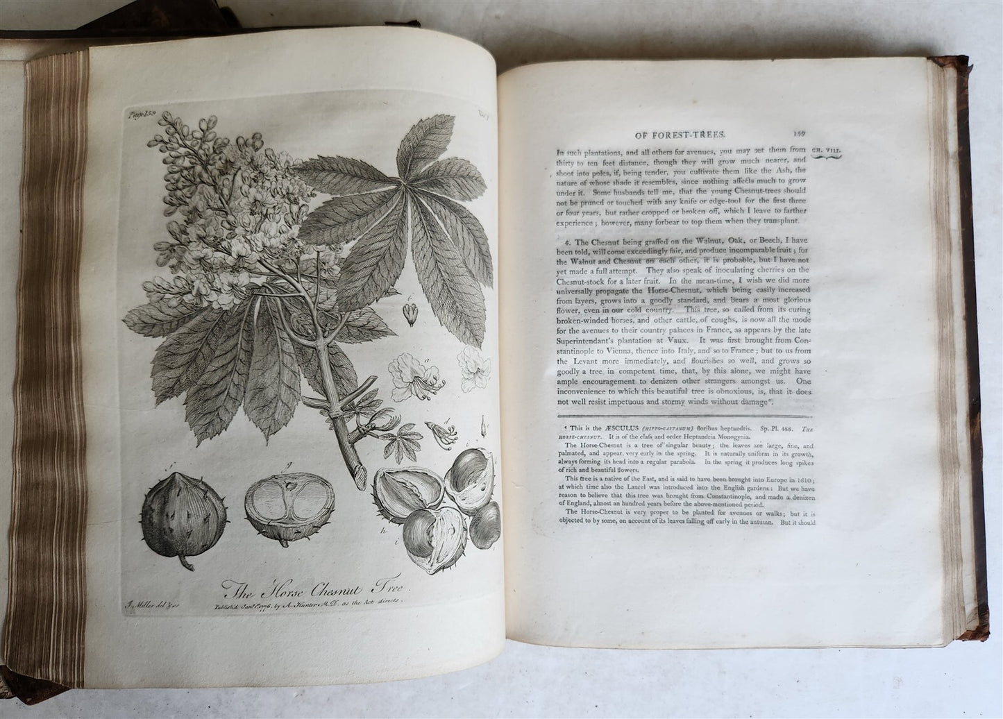 1801 SILVA: DISCOURSE OF FOREST TREES 2 VOLUMES ILLUSTRATED antique in ENGLISH