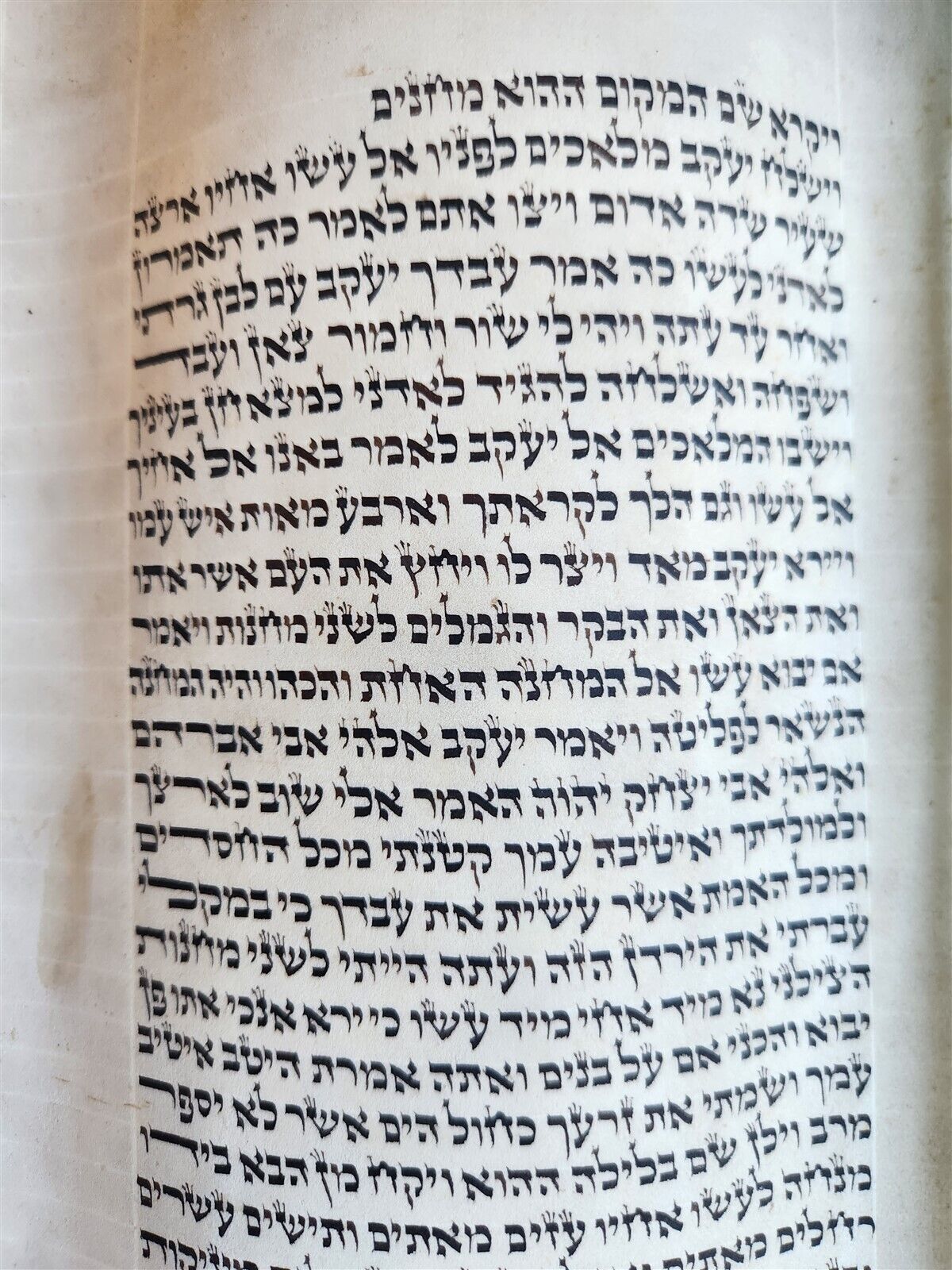 TORAH SCROLL large FRAGMENT MANUSCRIPT VELLUM antique BIBLE GENESIS 32:3-47:18