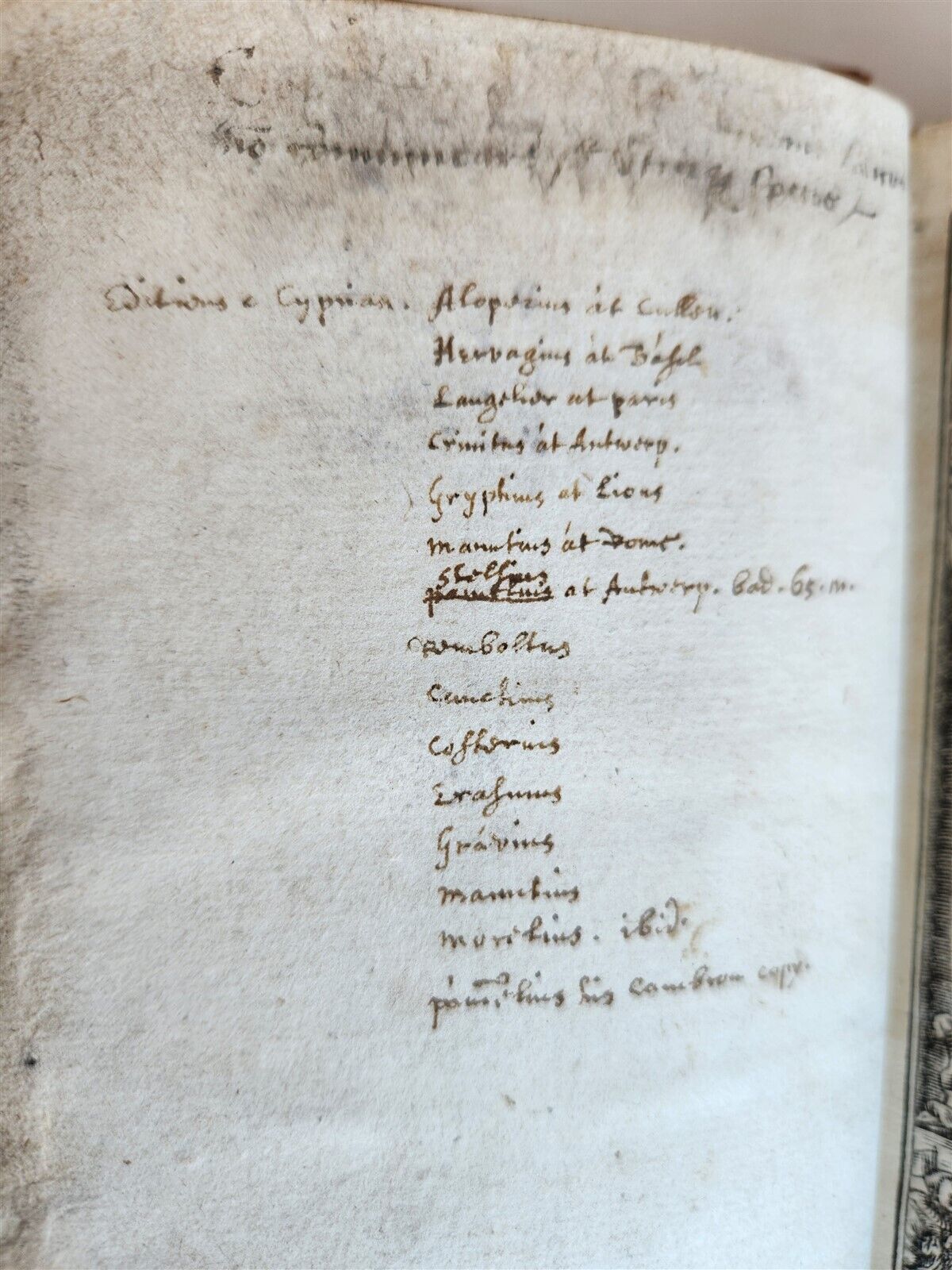 1524 OPERUM DIVI CAECILII CYPRIANI antique 16th CENTURY post-incunabula