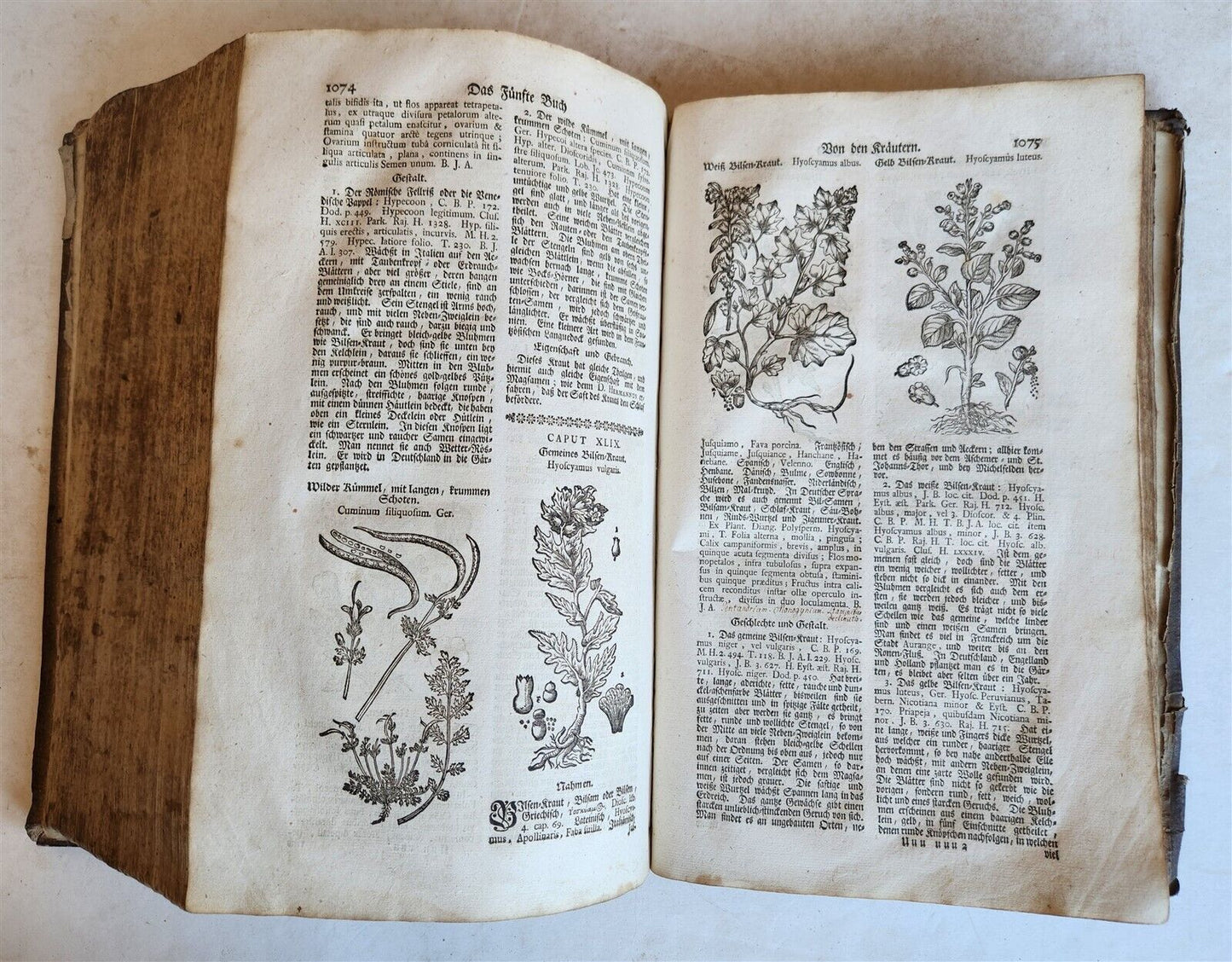 1744 THEATRUM BOTANICUM ILLUSTRATED GERMAN HERBAL antique PIGSKIN BOUND FOLIO