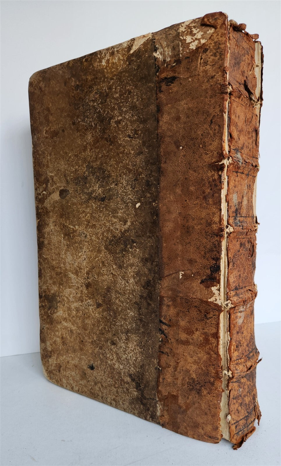 1560 ANDREA ALCIATO ILLUSTRATED FOLIO antique Alciati iuriscons. mediolanensis