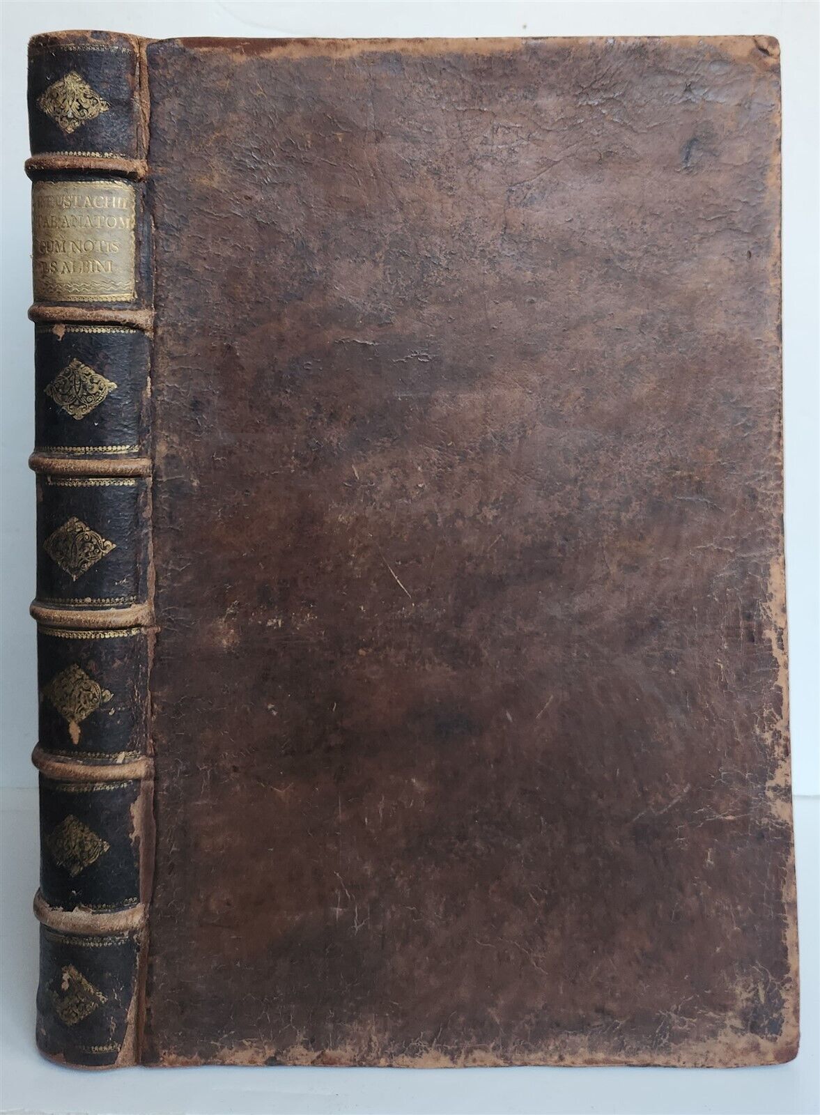 1744 ILLUSTRATED ANATOMY antique FOLIO Explicatio tabularum anatomicarum ALBINUS