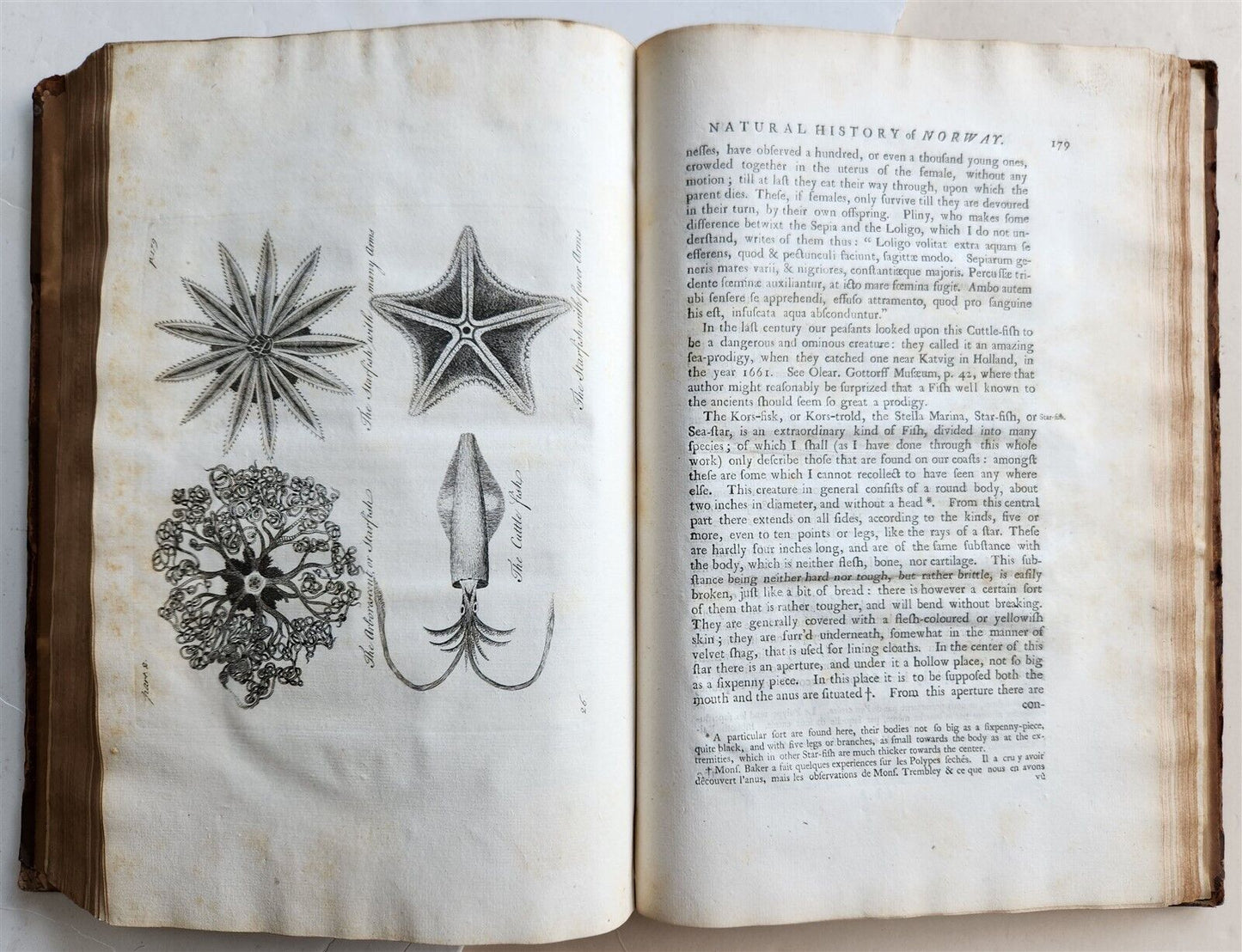 1755 NATURAL HISTORY of NORWAY ILLUSTRATED Pontoppidan antique FOLIO in ENGLISH