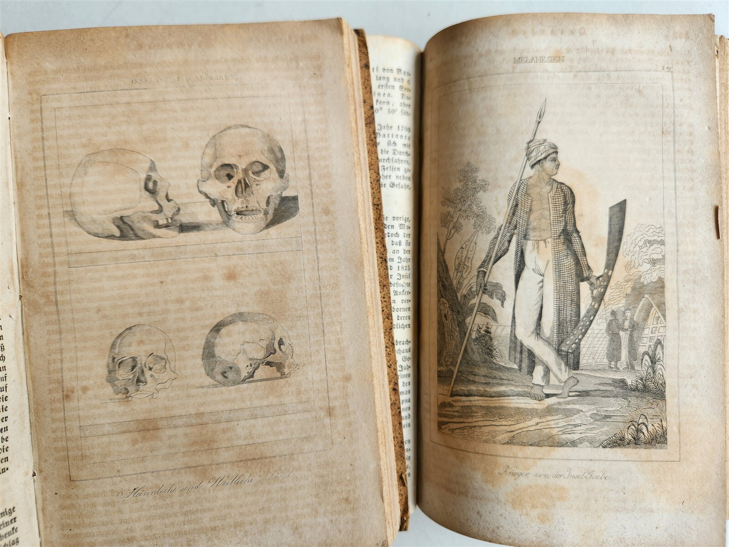 1838 TRAVELS to OCEANIA MALAYSIA POLYNESIA 3 VOLUMES antique ILLUSTRATED German