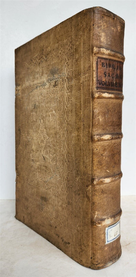 1735 BIBLE in GERMAN & LATIN antique HAND TOOLED PIGSKIN BOUND FOLIO