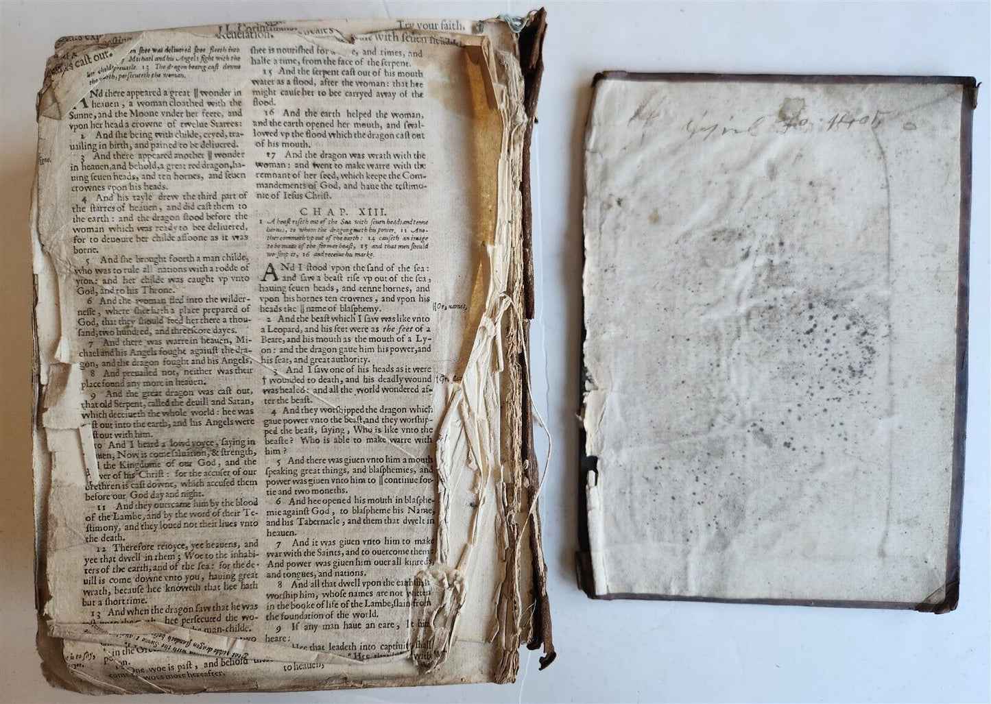 1629 BIBLE in ENGLISH antique ILLUSTRATED Old & New Testament
