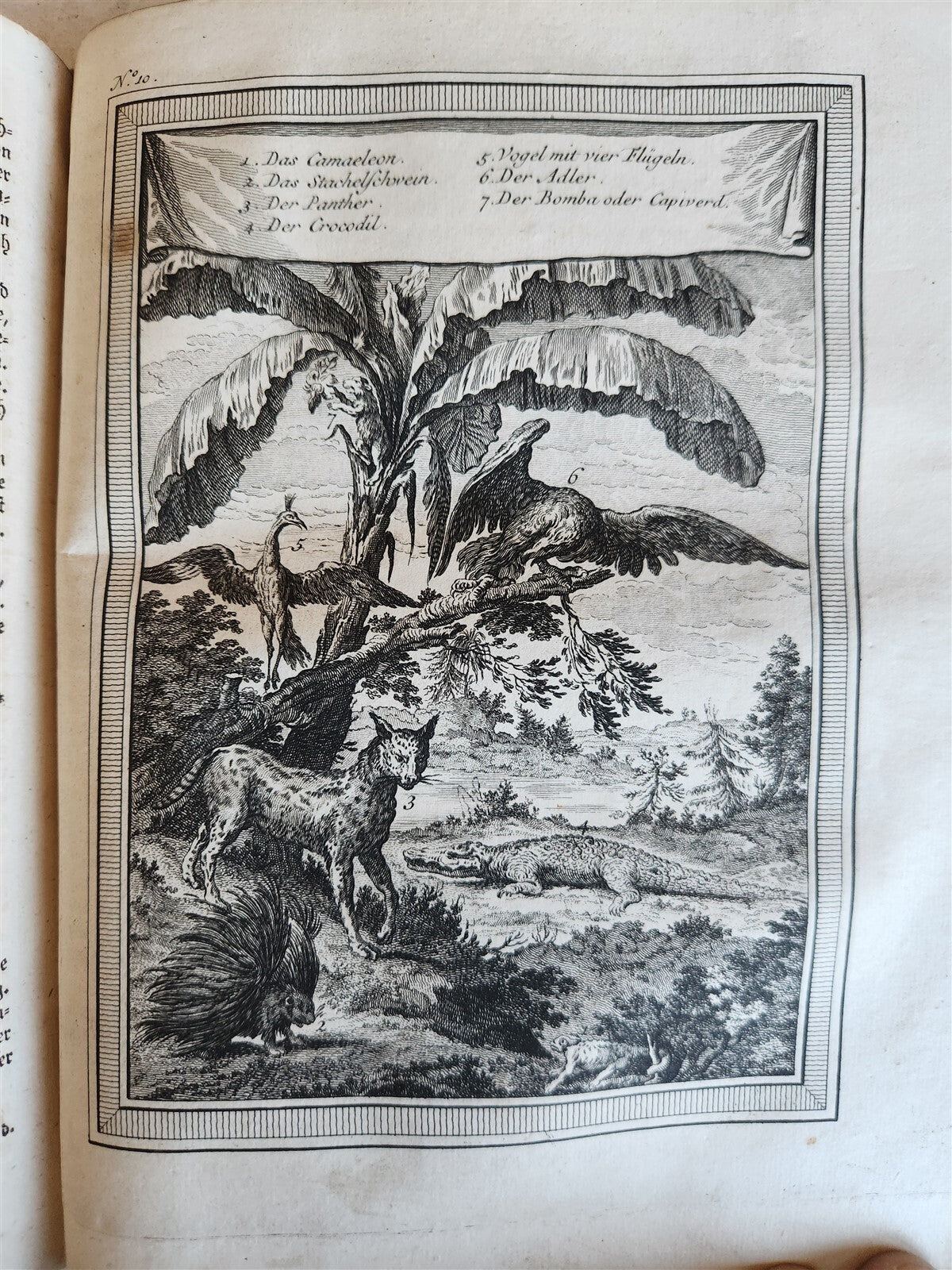 1748 HISTORY of TRAVELS Guinea Benin & Sierra Leone antique ILLUSTRATED