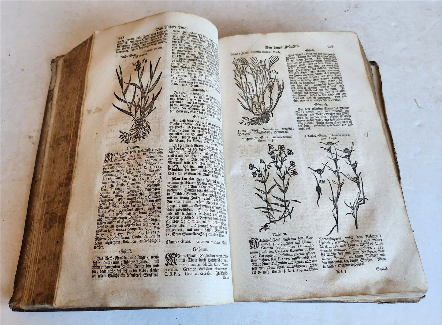 1744 THEATRUM BOTANICUM ILLUSTRATED GERMAN HERBAL antique PIGSKIN BOUND FOLIO