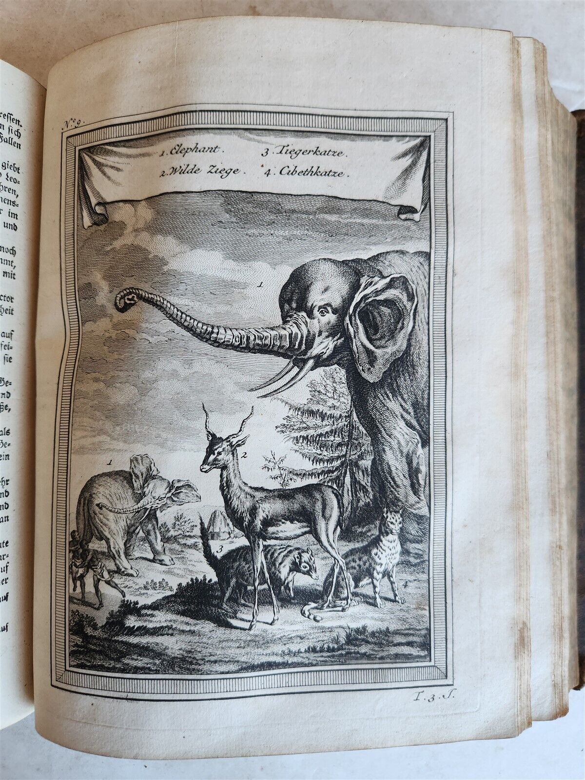 1748 HISTORY of TRAVELS Guinea Benin & Sierra Leone antique ILLUSTRATED