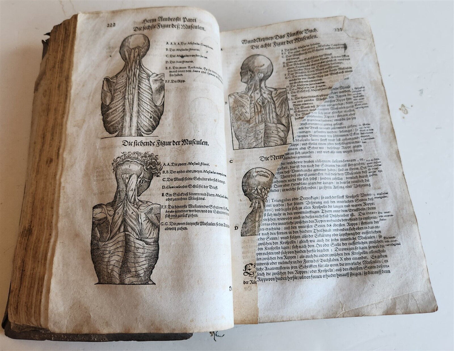 1601 WOUND MEDICINE antique ILLUSTRATED WundArtzney oder Artzney spiegell FOLIO