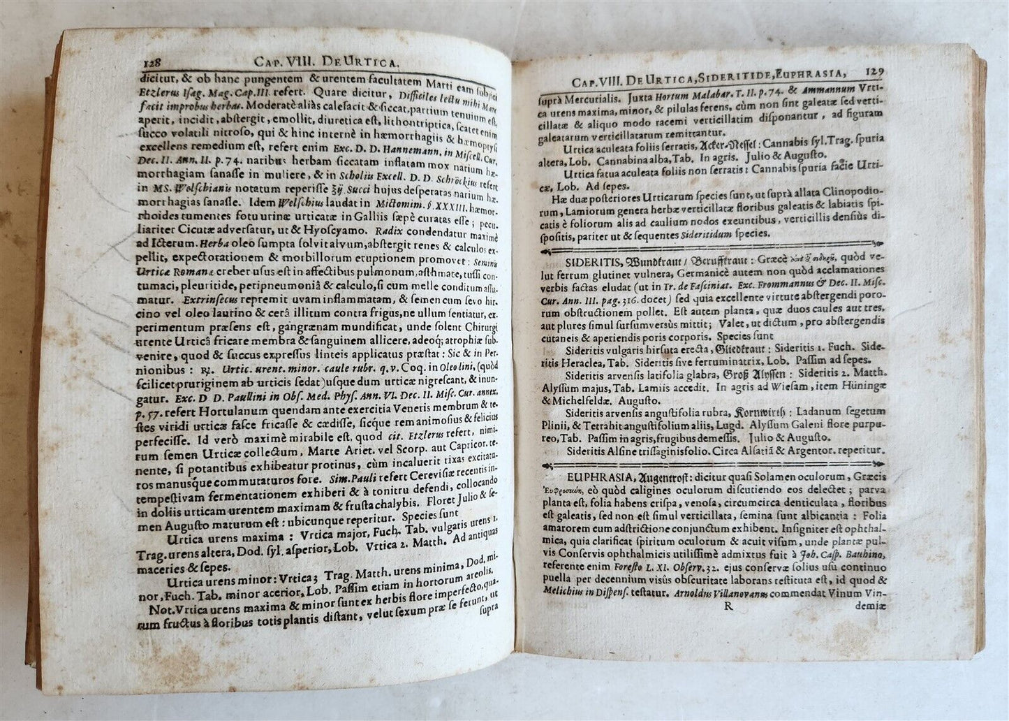 1696 PLANTARUM REGNI VEGETABILIS antique VELLUM VEGETABLE KINGDOM PLANTS