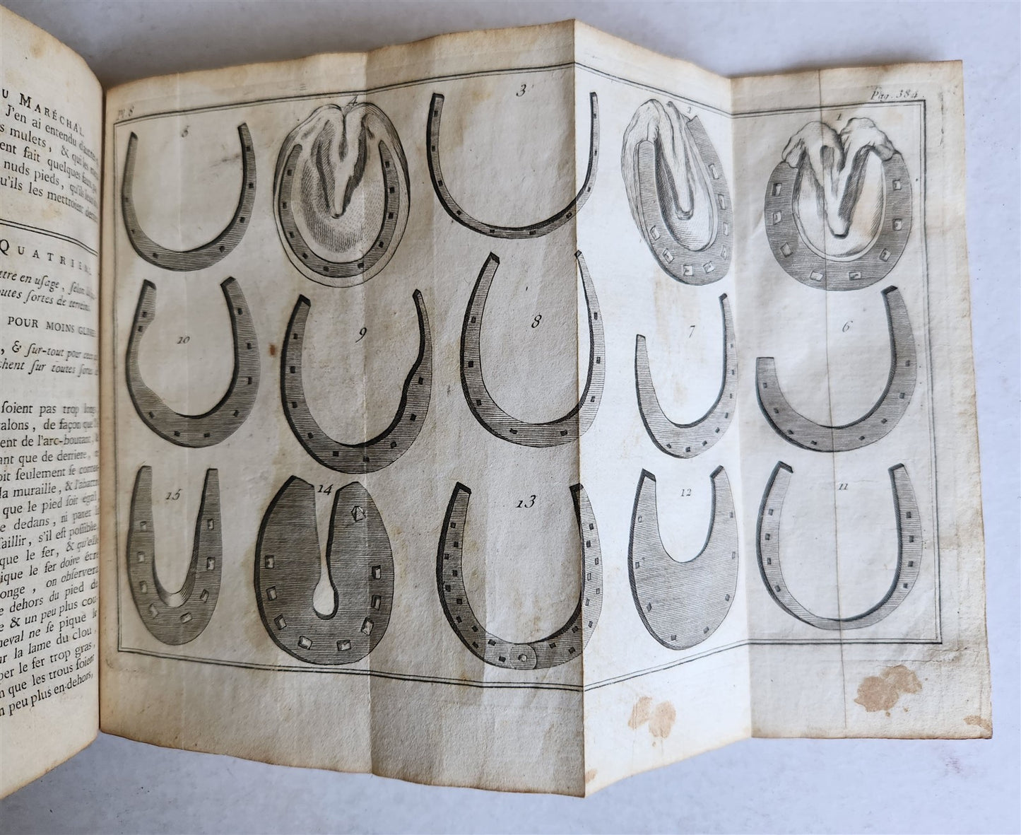 1792 HORSE ANATOMY VETERINARY TREATISE ILLUSTRATED w/ 9 WOODCUTS antique