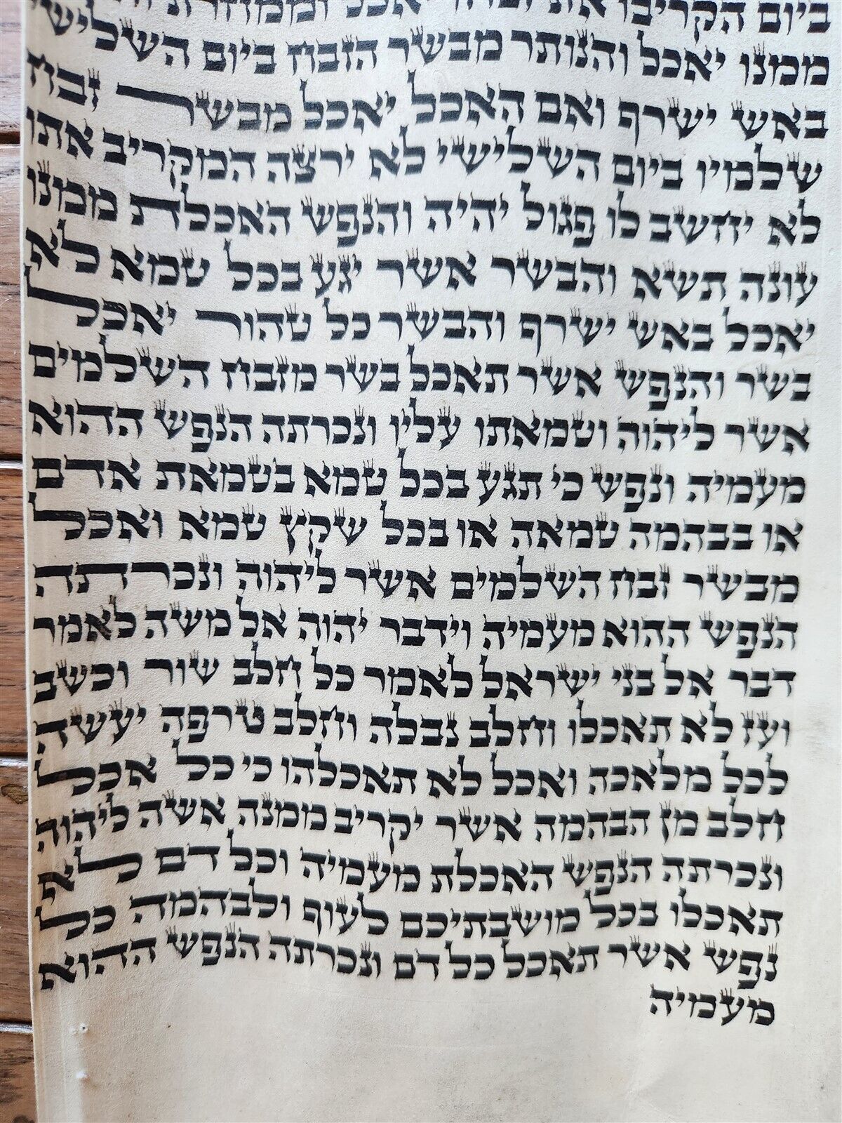 TORAH SCROLL FRAGMENT MANUSCRIPT on VELLUM antique BIBLE LEVITICUS 7:4-7:27