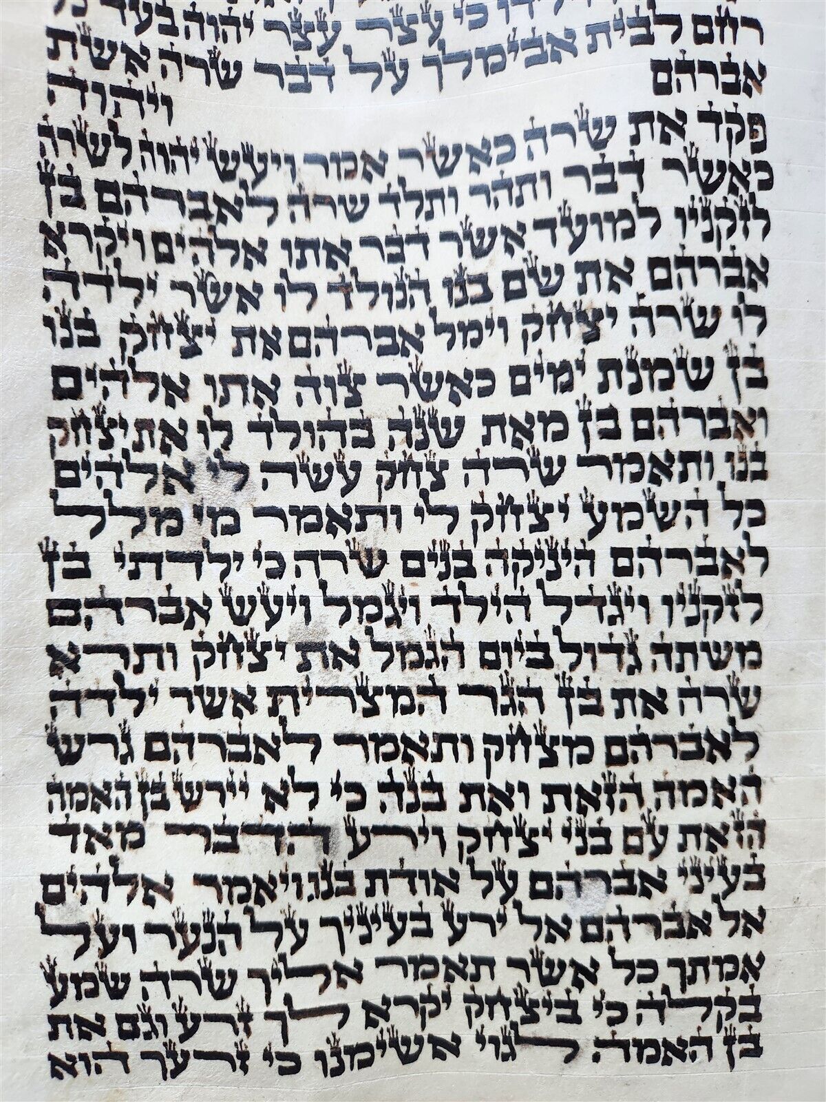 TORAH SCROLL FRAGMENT MANUSCRIPT VELLUM antique BIBLE GENESIS SODOM & GOMORRAH