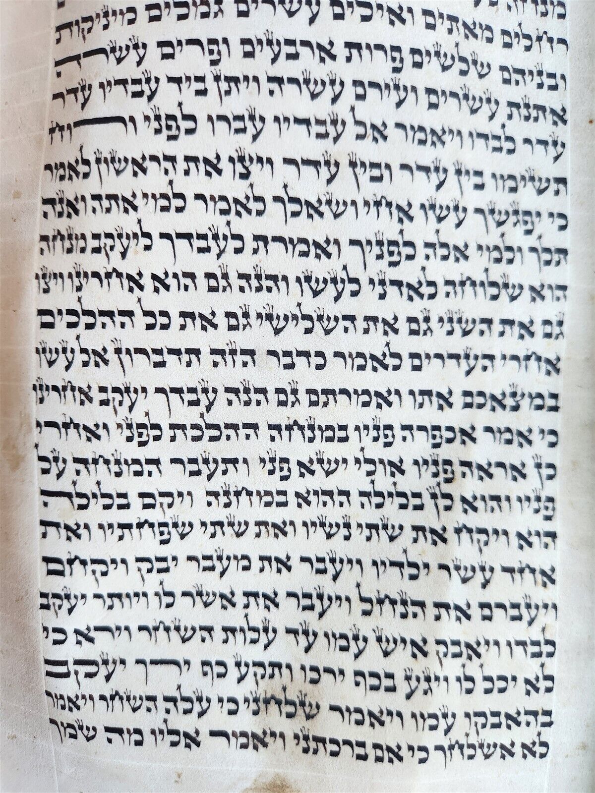 TORAH SCROLL large FRAGMENT MANUSCRIPT VELLUM antique BIBLE GENESIS 32:3-47:18