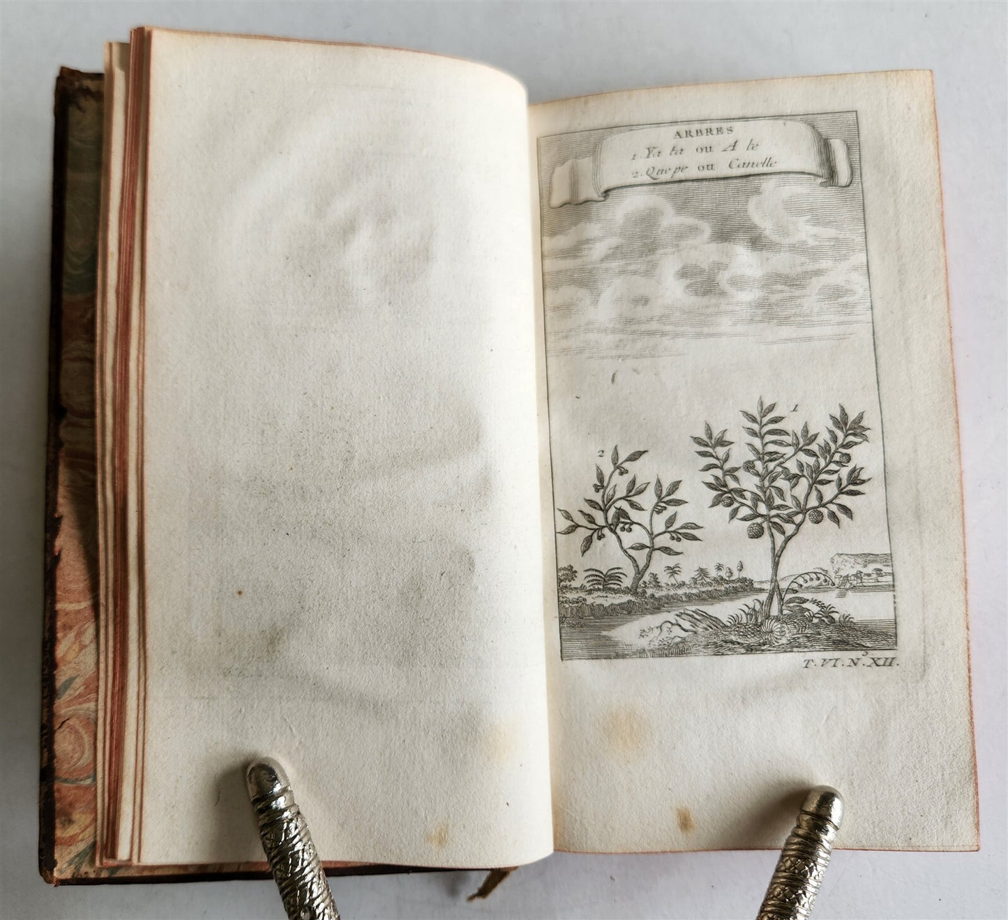 1749 HISTOIRE des VOYAGES illustrated v.24 CHINA NATURAL HISTORY TRAVELS antique