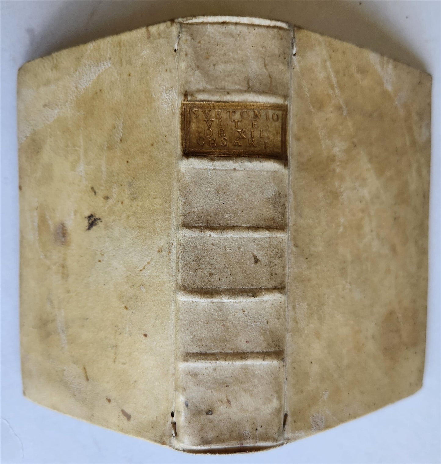 1554 LIFE of TWELVE CAESARS by SUETONIUS antique VELLUM BOUND ROMAN HISTORY