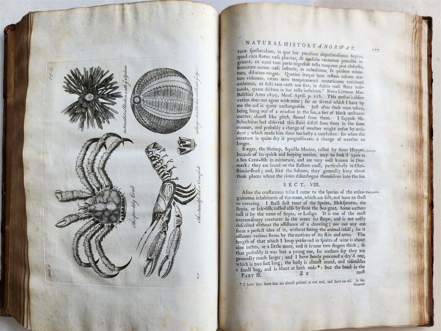 1755 NATURAL HISTORY of NORWAY ILLUSTRATED Pontoppidan antique FOLIO in ENGLISH