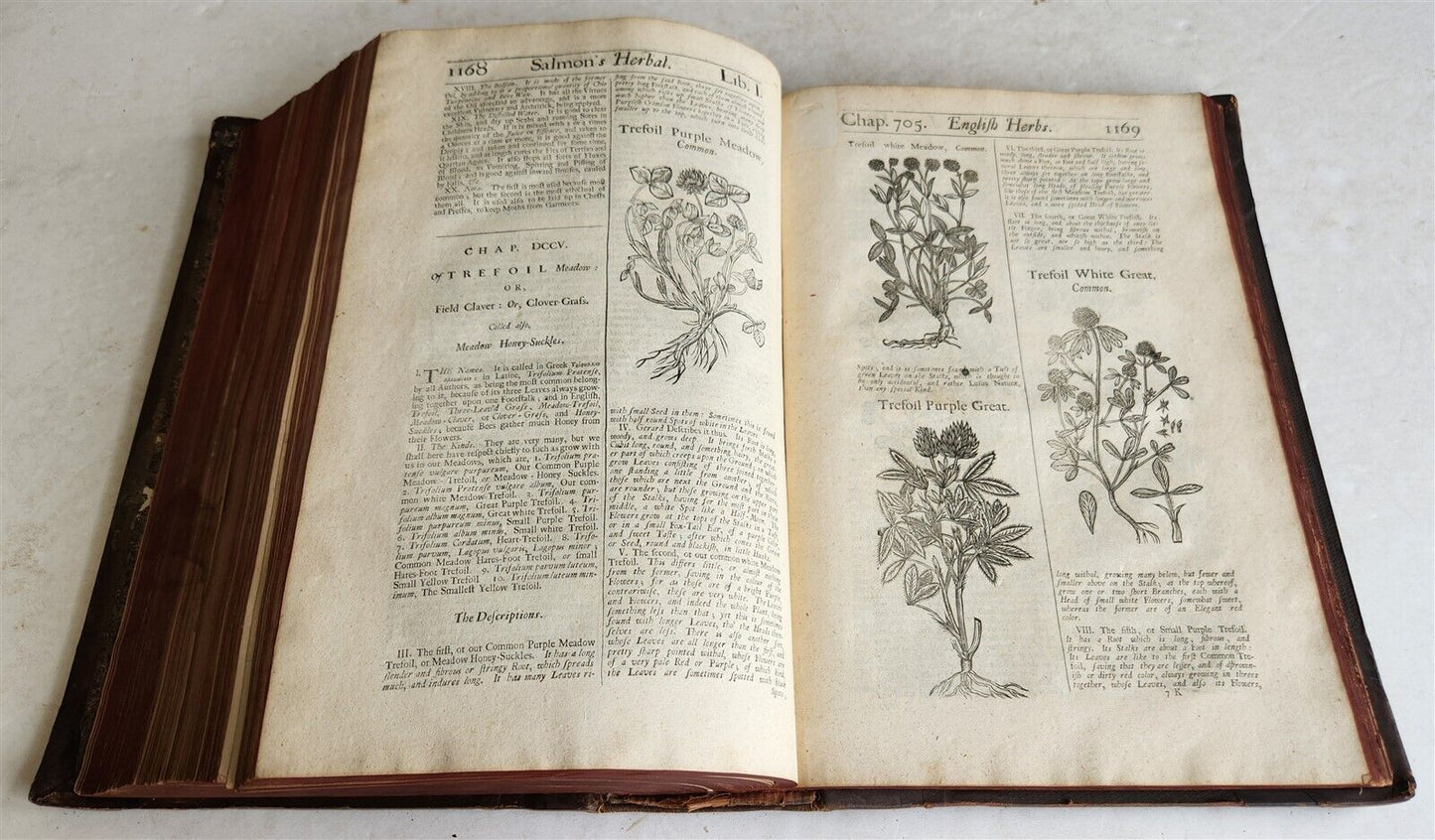 1710 BOTANOLOGIA ENGLISH HERBAL antique ILLUSTRATED MASSIVE FOLIO