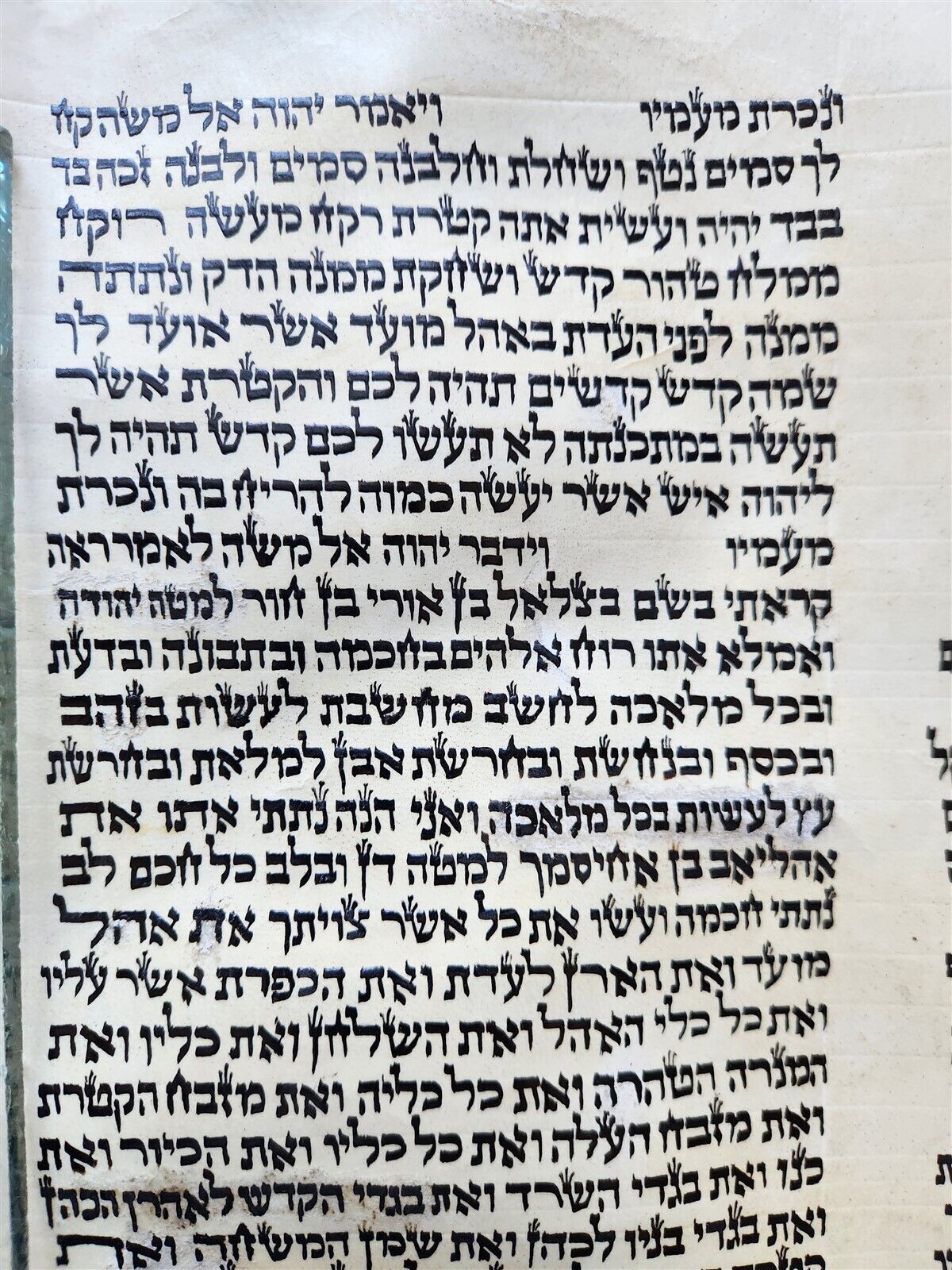 TORAH SCROLL FRAGMENT MANUSCRIPT on VELLUM antique BIBLE EXODUS 29:4-32.2