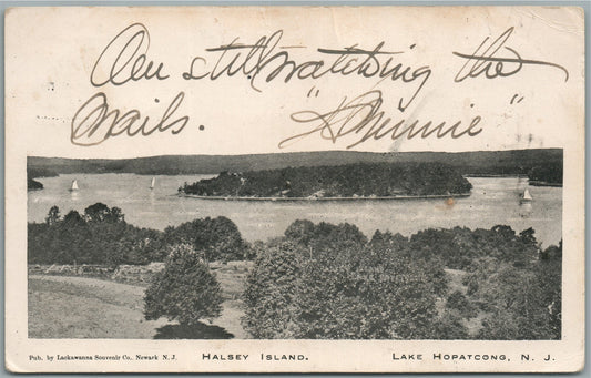 LAKE HOPATCONG NJ HALSEY ISLAND ANTIQUE POSTCARD