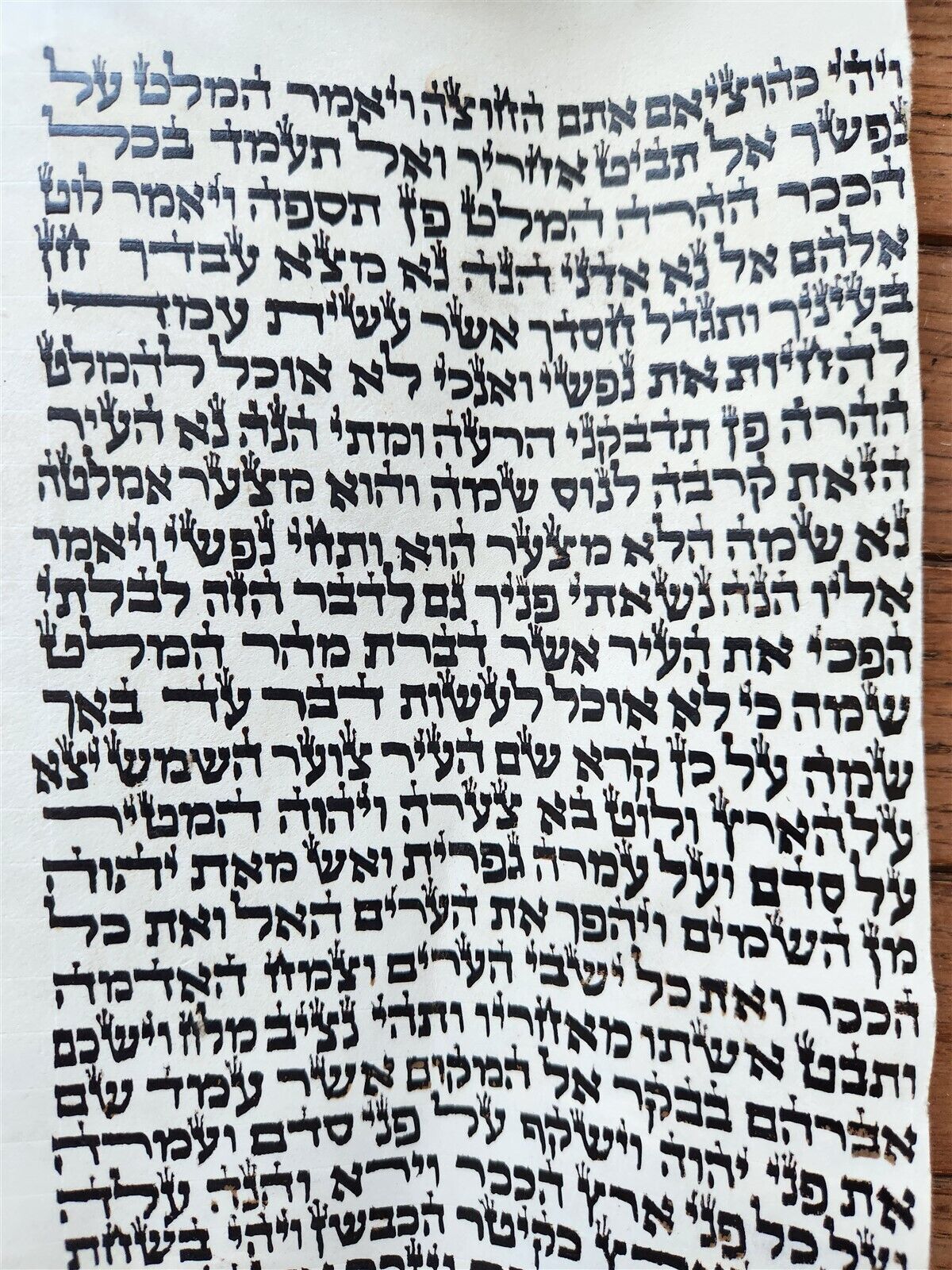 TORAH SCROLL FRAGMENT MANUSCRIPT VELLUM antique BIBLE GENESIS SODOM & GOMORRAH