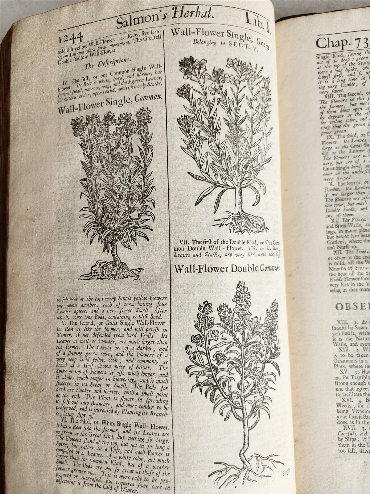 1710 BOTANOLOGIA ENGLISH HERBAL antique ILLUSTRATED MASSIVE FOLIO