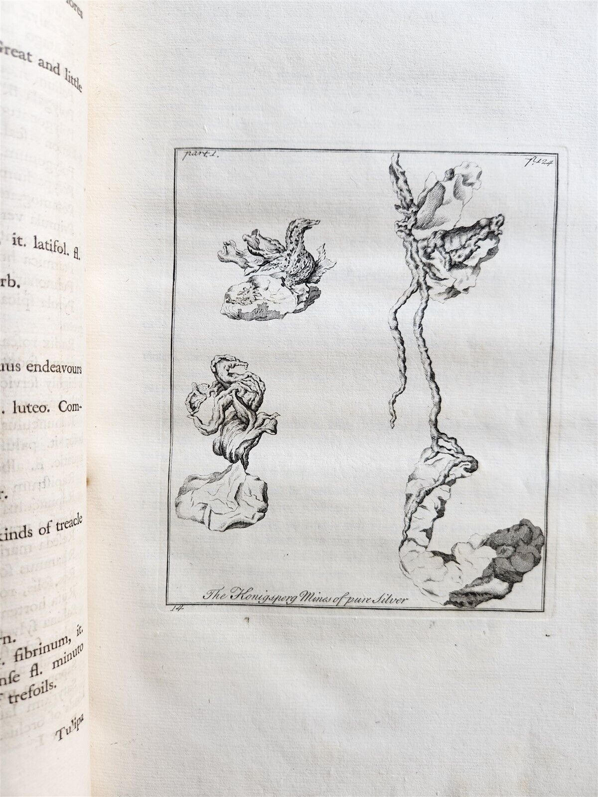 1755 NATURAL HISTORY of NORWAY ILLUSTRATED Pontoppidan antique FOLIO in ENGLISH