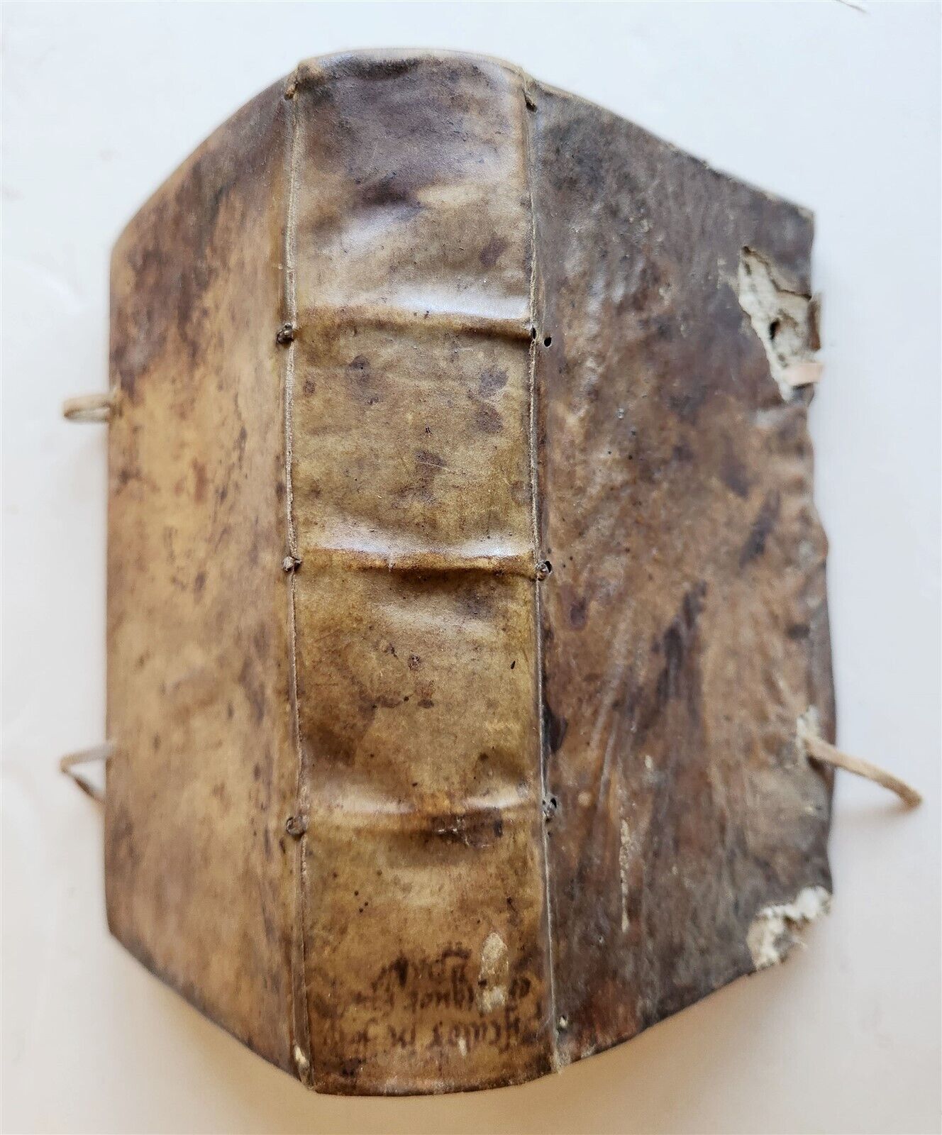 1603 BIBLE COMMENTARY by J. PISCATOR antique VELLUM BINDING