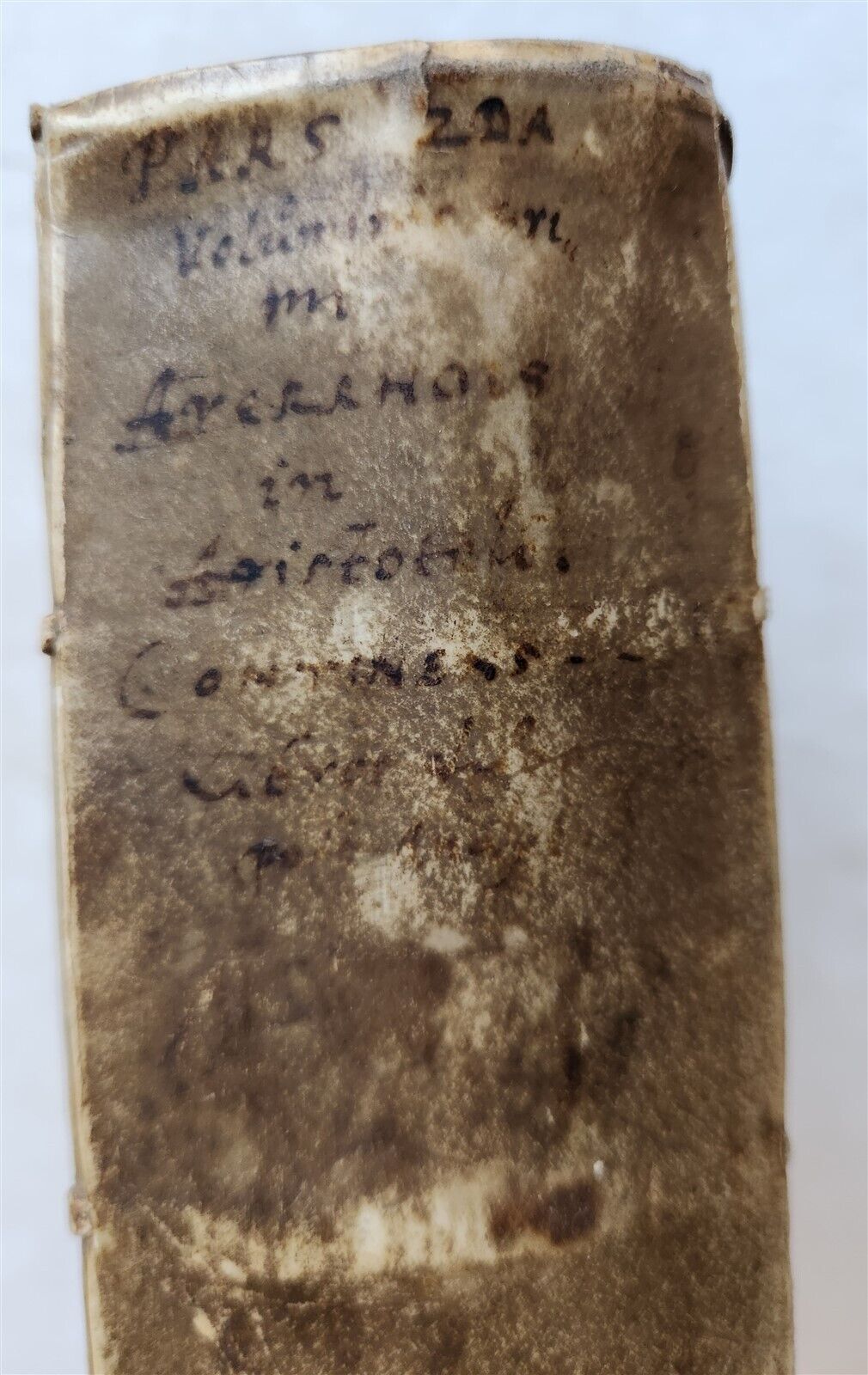 1574 ARISTOTLE COMMENTARY by IBN RUSHD antique ILLUSTRATED 16 century VELLUM