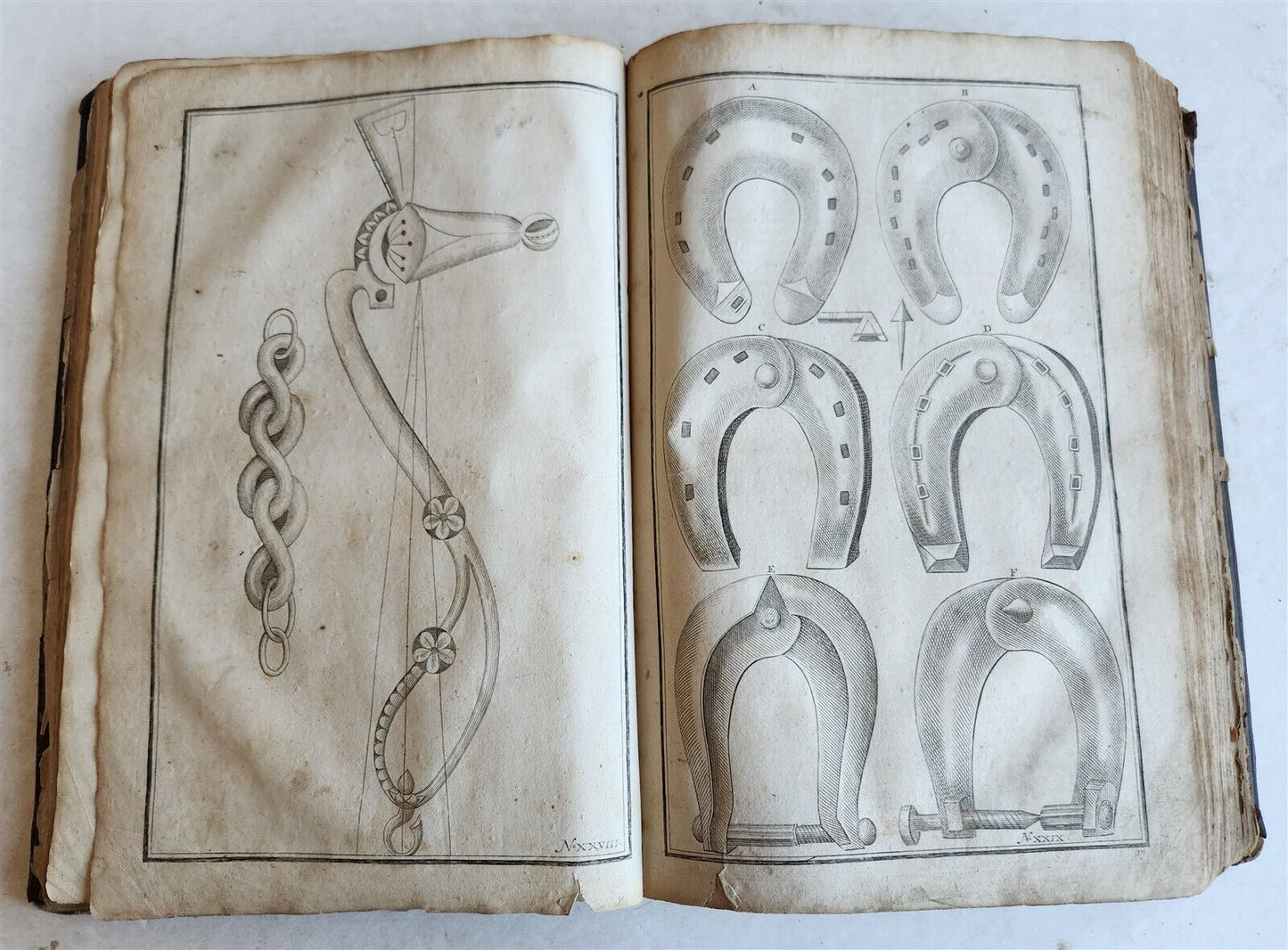 1702 Oeconomus prudens ILLUSTRATED 2 FOLIO VOLUMES antique in GERMAN