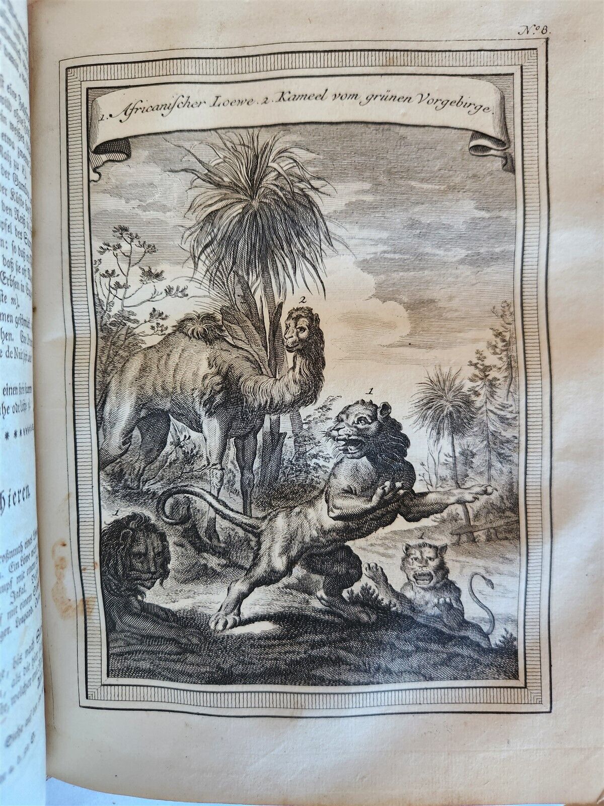 1748 HISTORY of TRAVELS Guinea Benin & Sierra Leone antique ILLUSTRATED