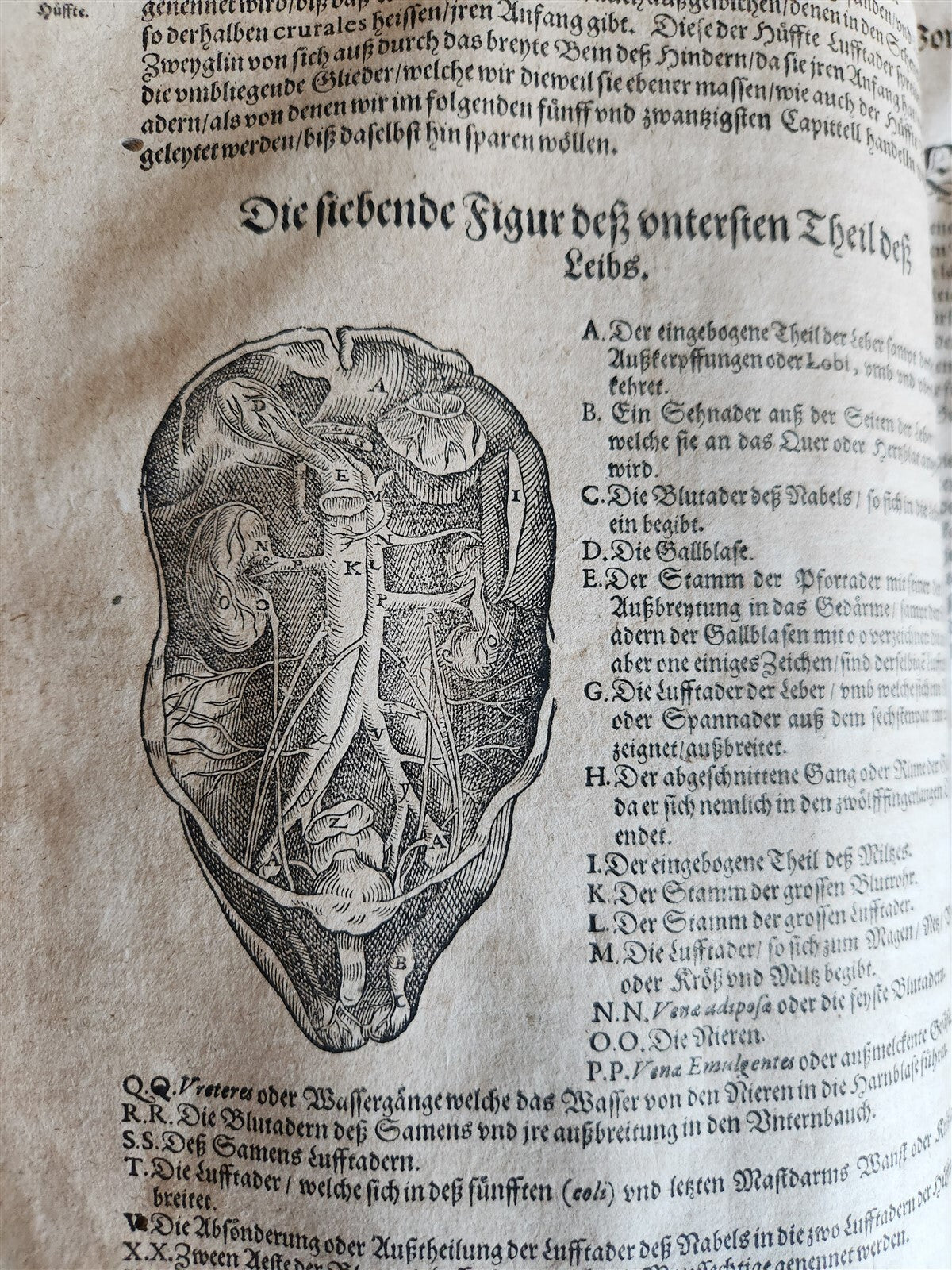 1601 WOUND MEDICINE antique ILLUSTRATED WundArtzney oder Artzney spiegell FOLIO
