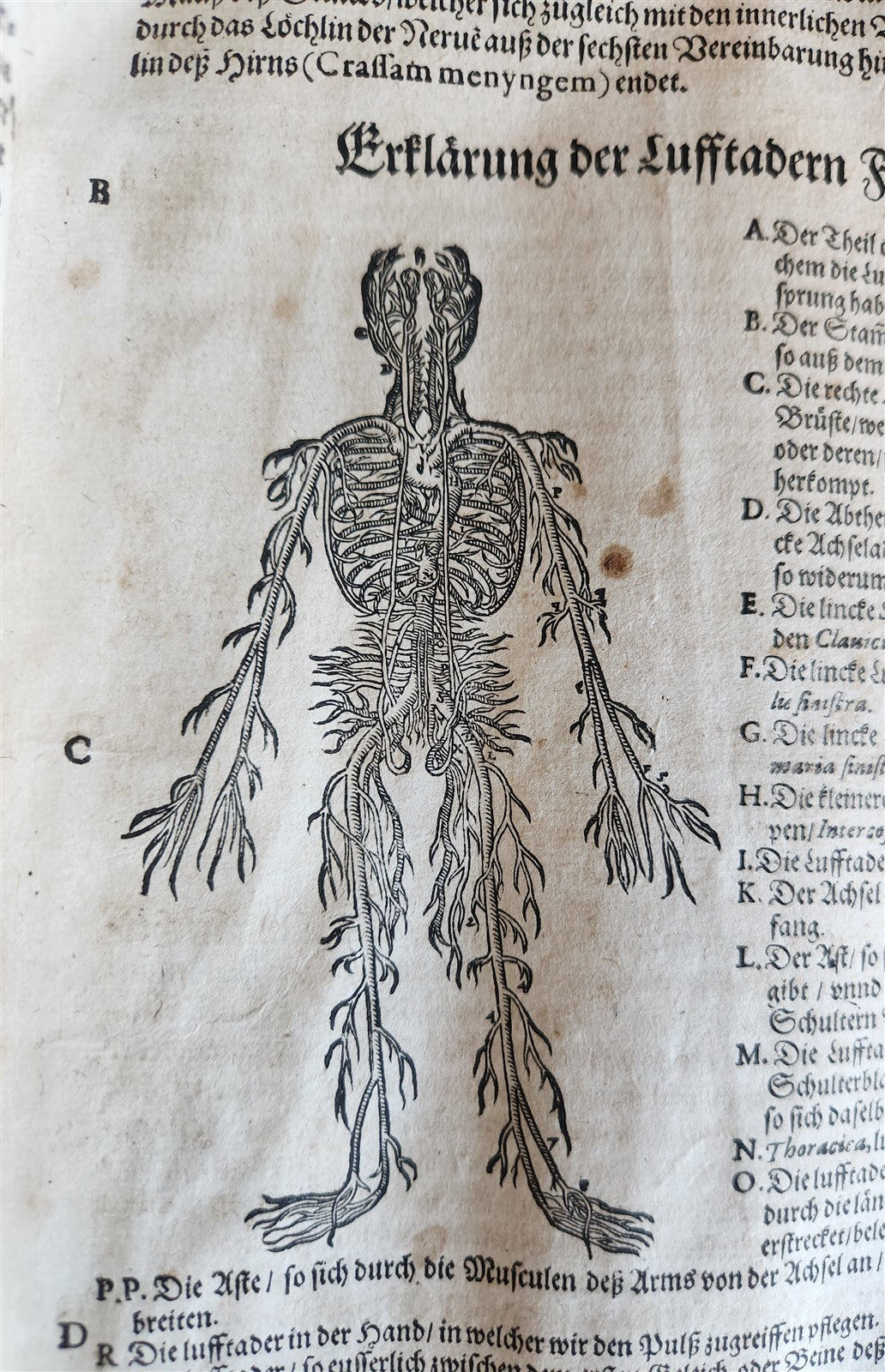 1601 WOUND MEDICINE antique ILLUSTRATED WundArtzney oder Artzney spiegell FOLIO