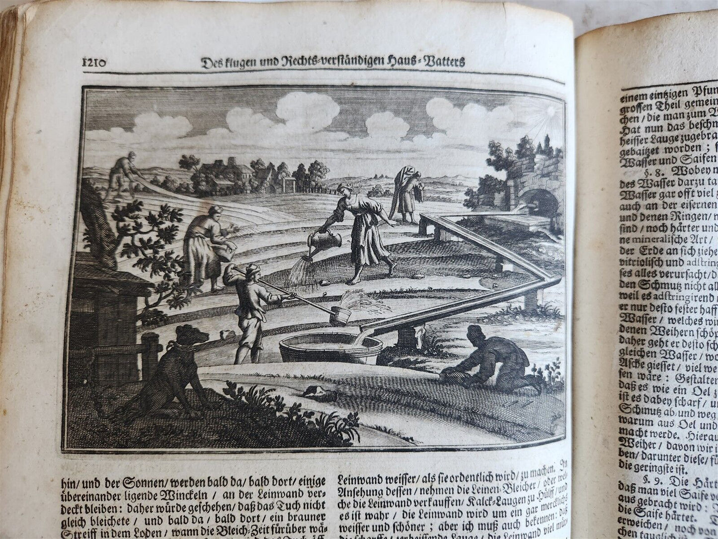 1702 Oeconomus prudens ILLUSTRATED 2 FOLIO VOLUMES antique in GERMAN