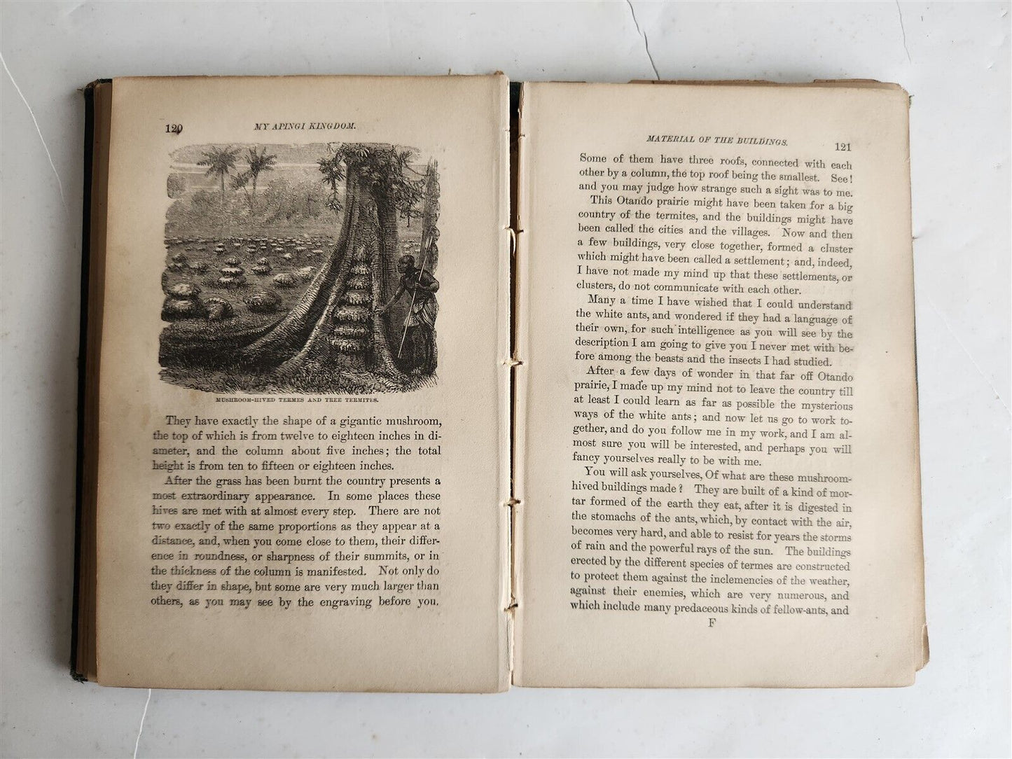 1871 MY APINGI KINGDOM LIFE in GREAT SAHARA PAUL DU CHAILLU antique ILLUSTRATED