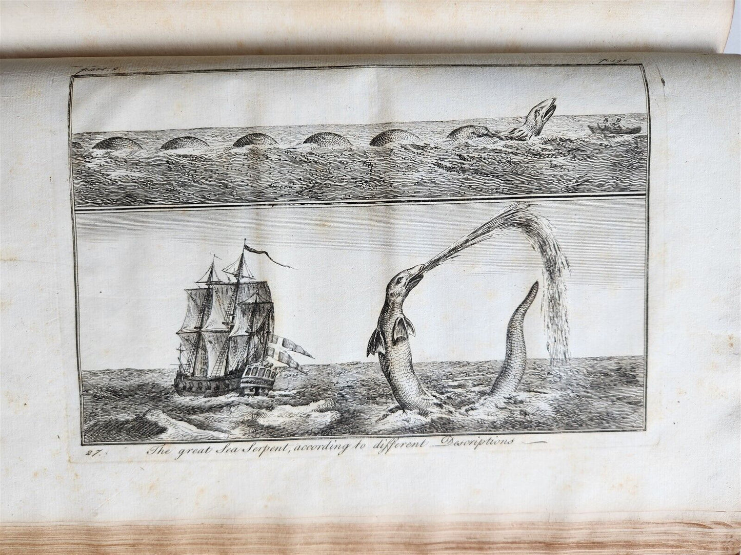 1755 NATURAL HISTORY of NORWAY ILLUSTRATED Pontoppidan antique FOLIO in ENGLISH