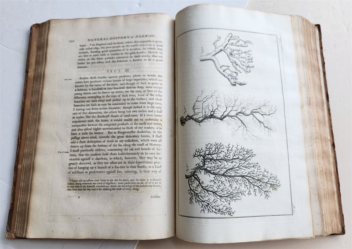 1755 NATURAL HISTORY of NORWAY ILLUSTRATED Pontoppidan antique FOLIO in ENGLISH